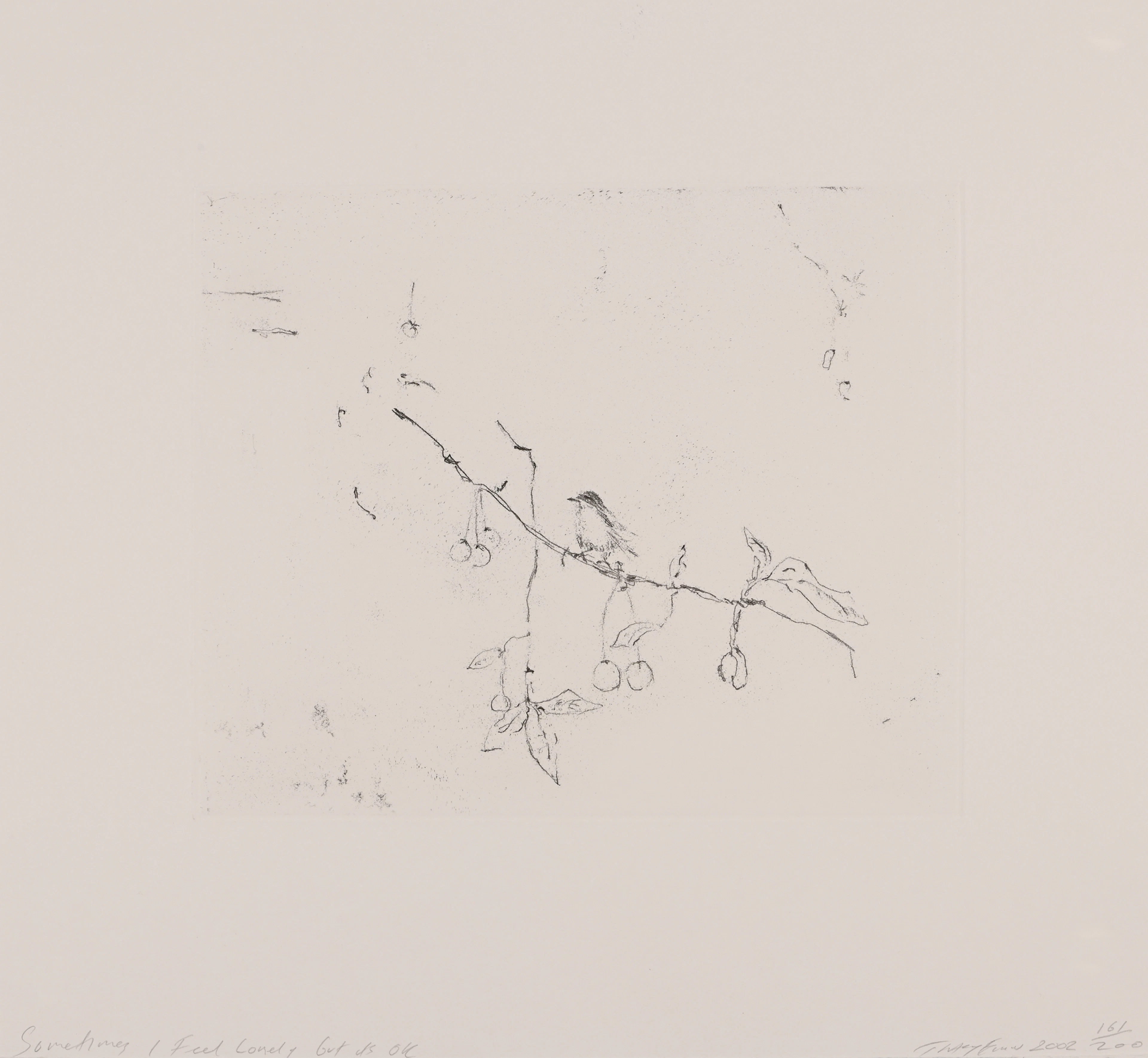 Sometimes I Feel Lonely, but it's OK, 2002 Tracey Emin, 1963 (GB)