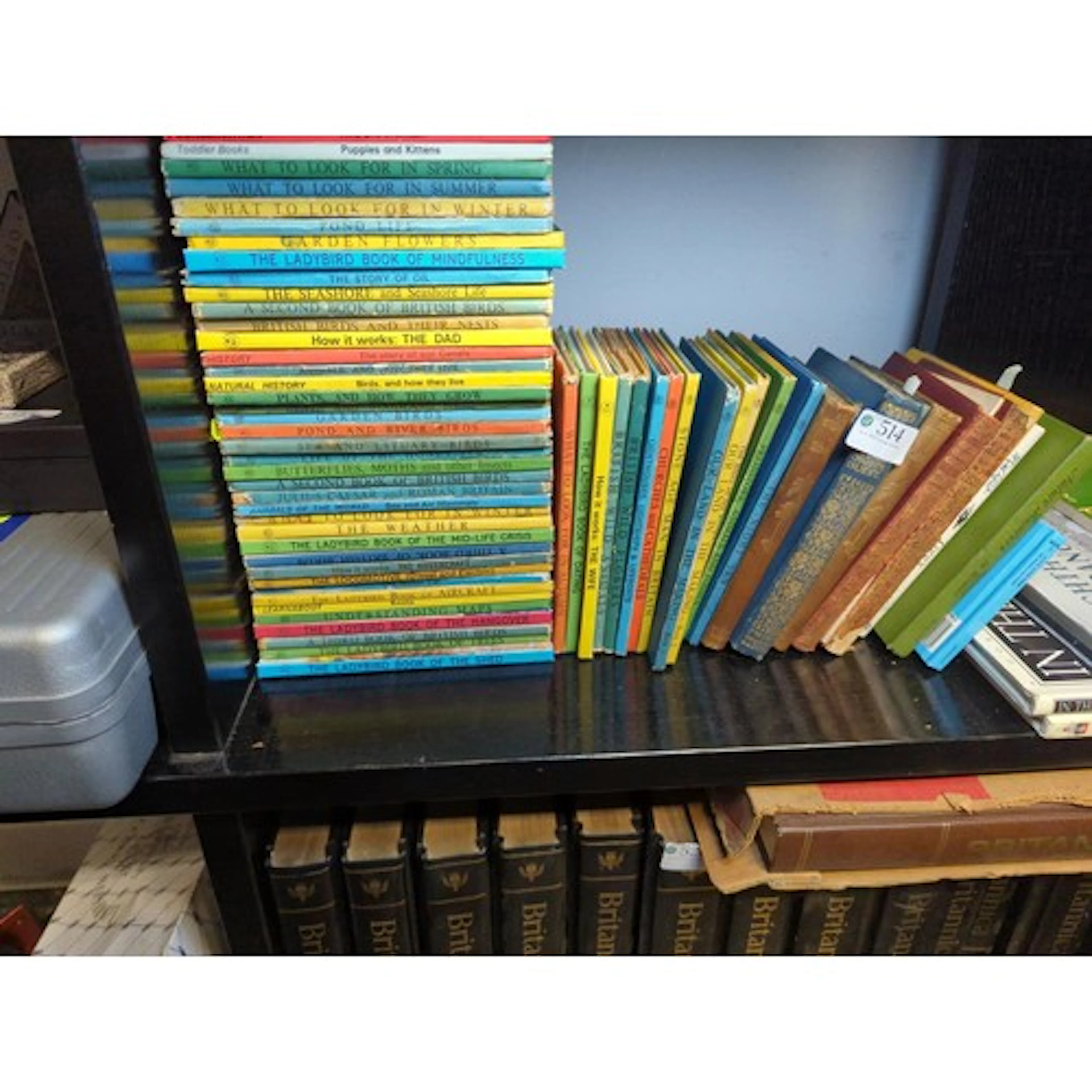 Large collection of mostly Ladybird Books Aprox 40 R.L. Stev...