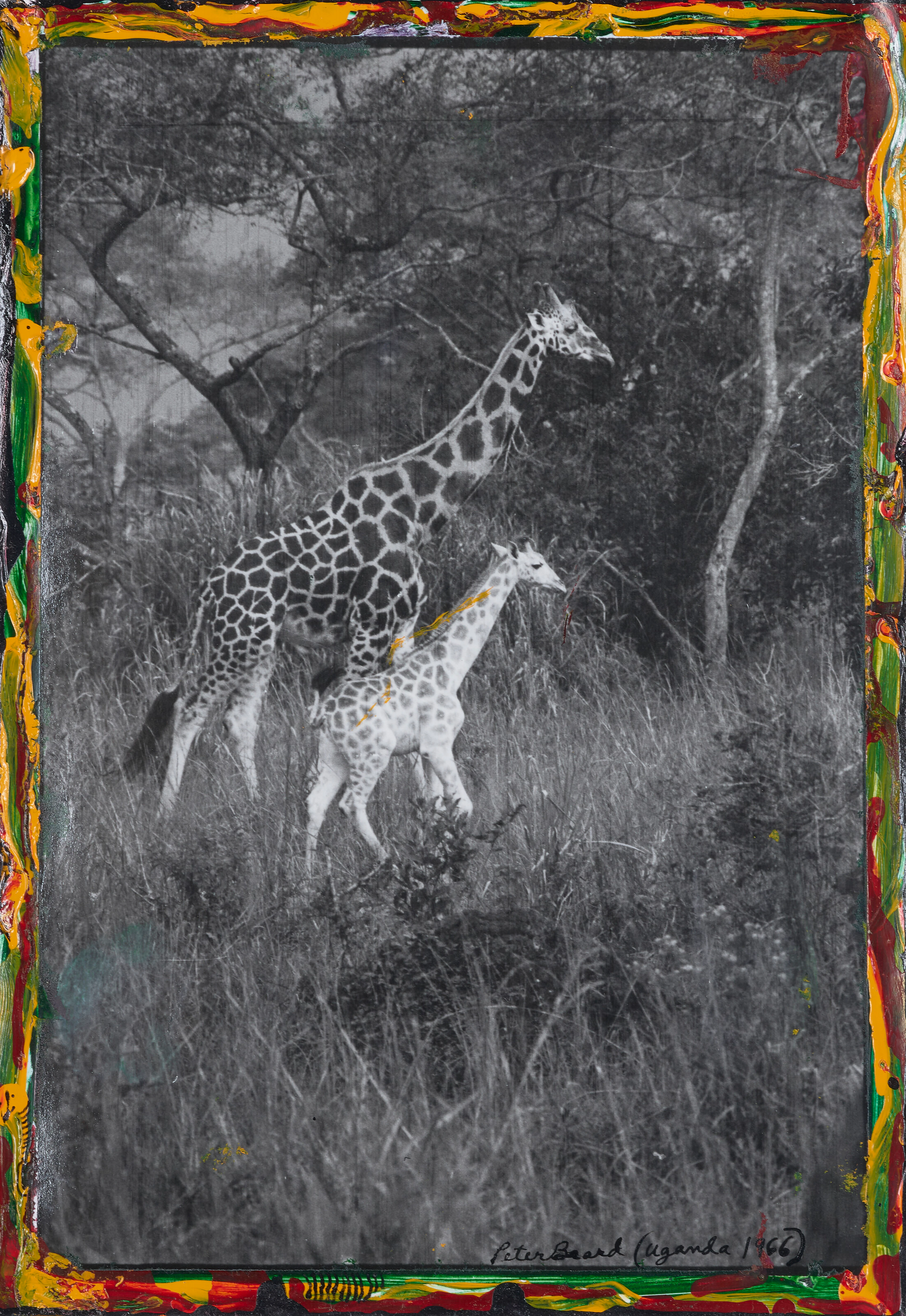 PETER BEARD (1938-2020)