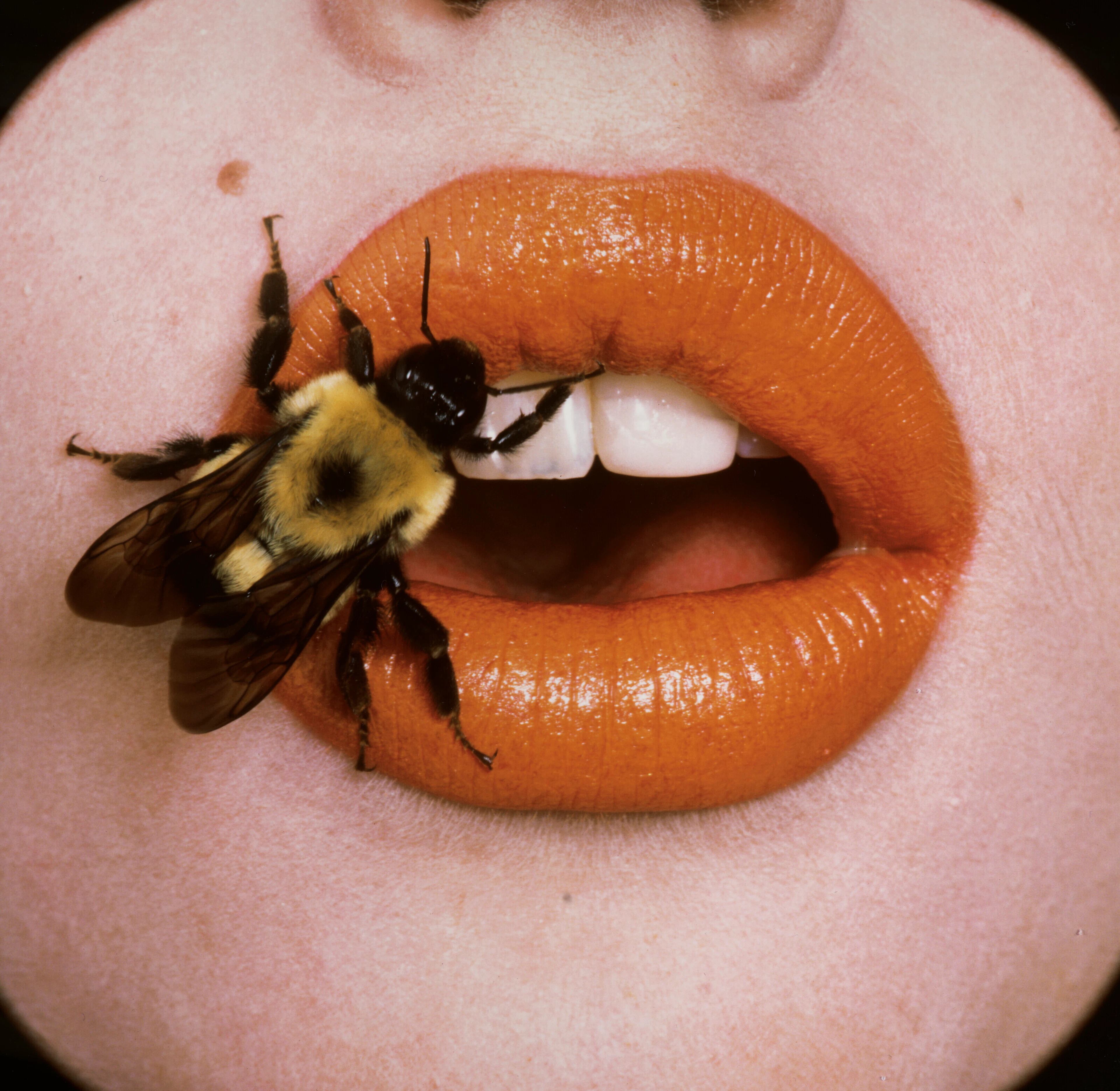 IRVING PENN (1917-2009)