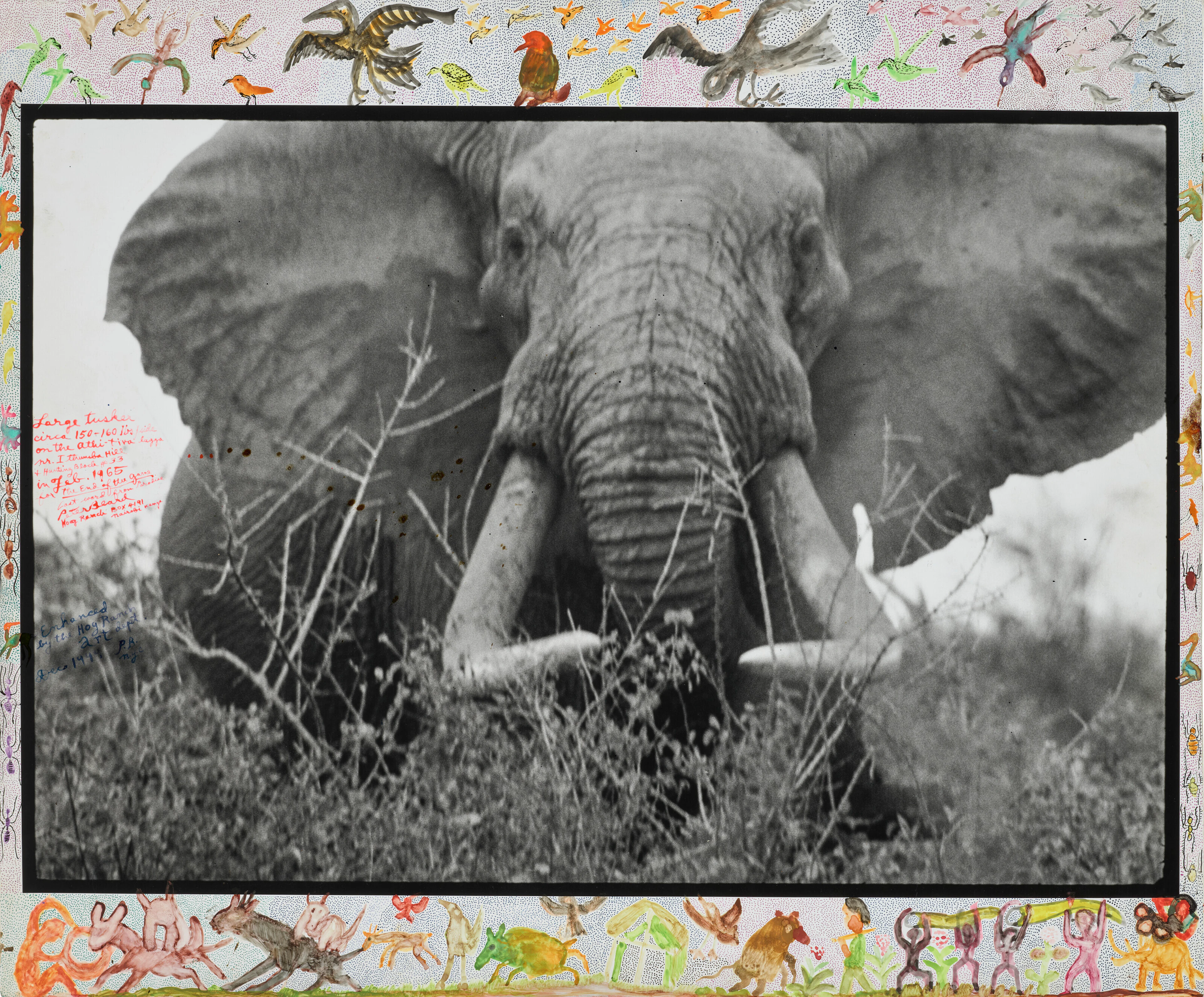PETER BEARD (1938-2020)