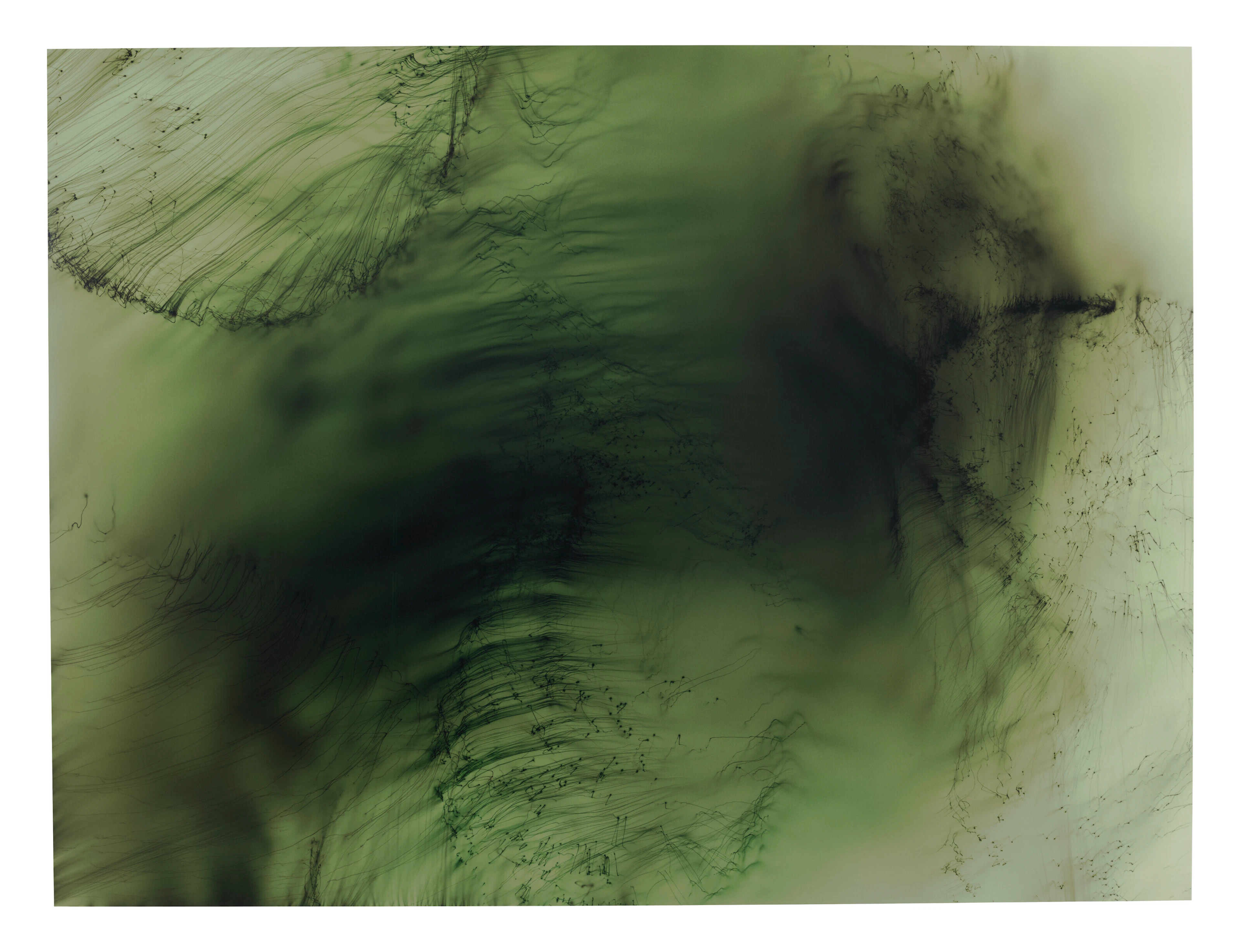 WOLFGANG TILLMANS (B. 1968)