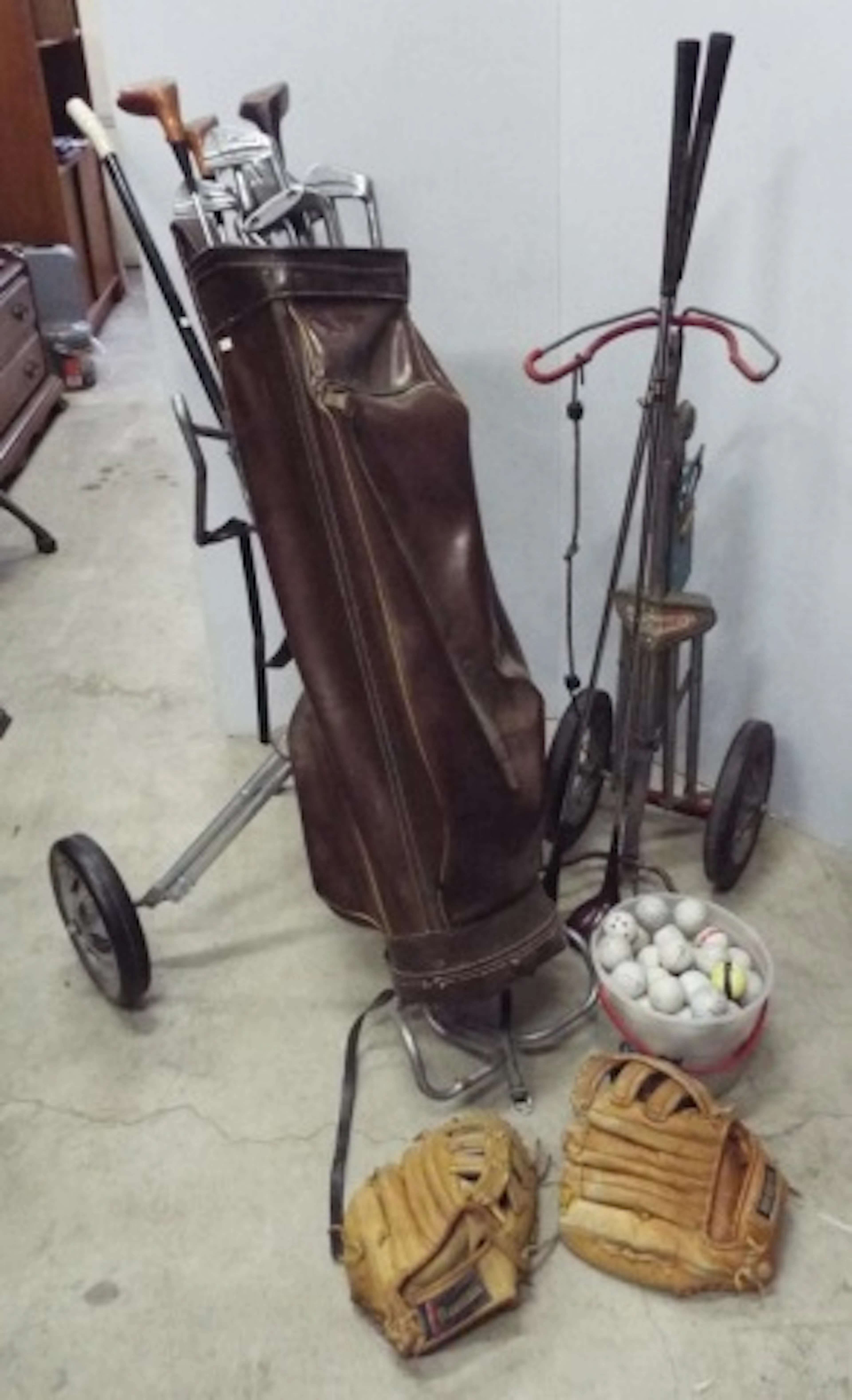 Vintage golf bag with various vintage clubs