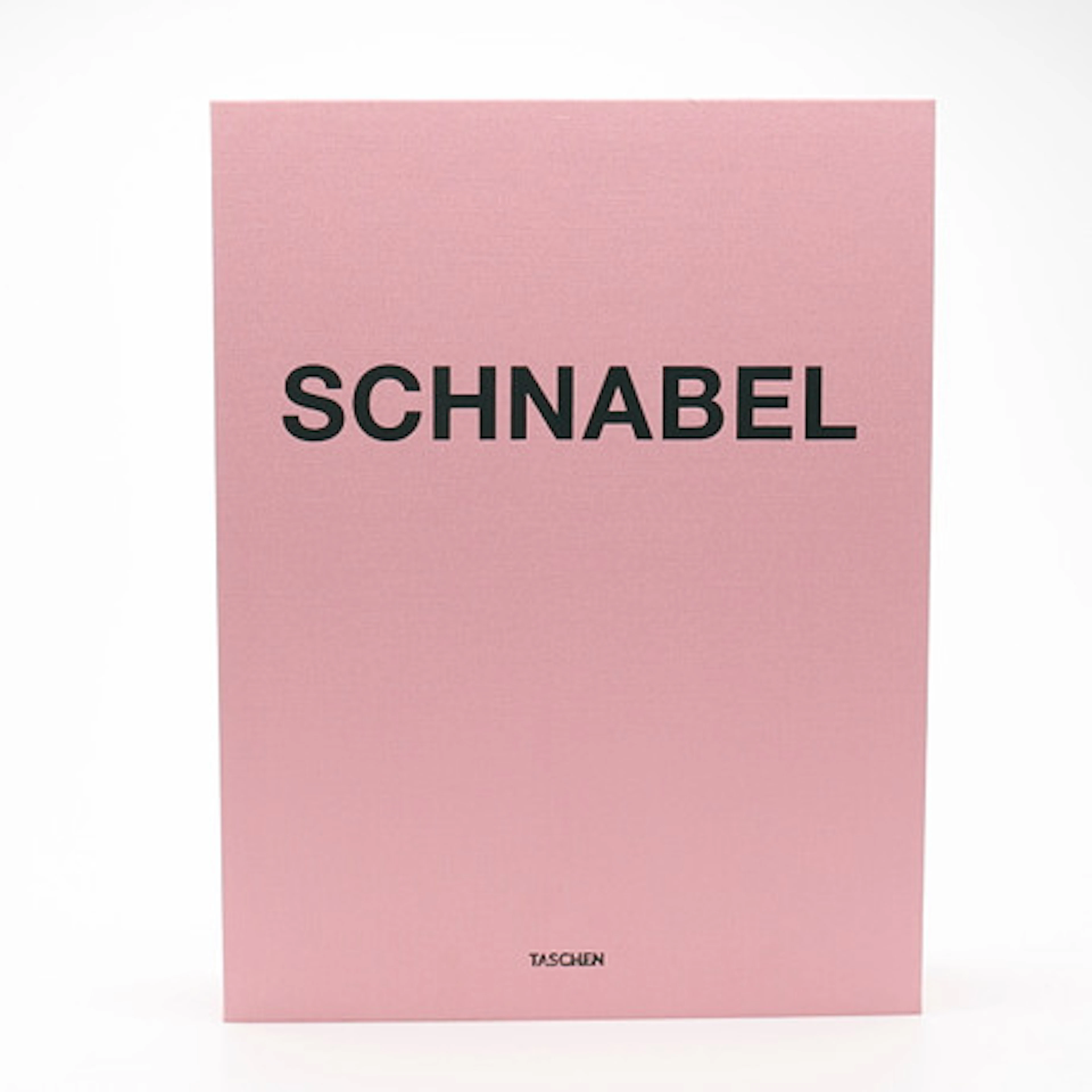 JULIAN SCHNABEL DEN STORA BIBLIOFILA TASCH…
