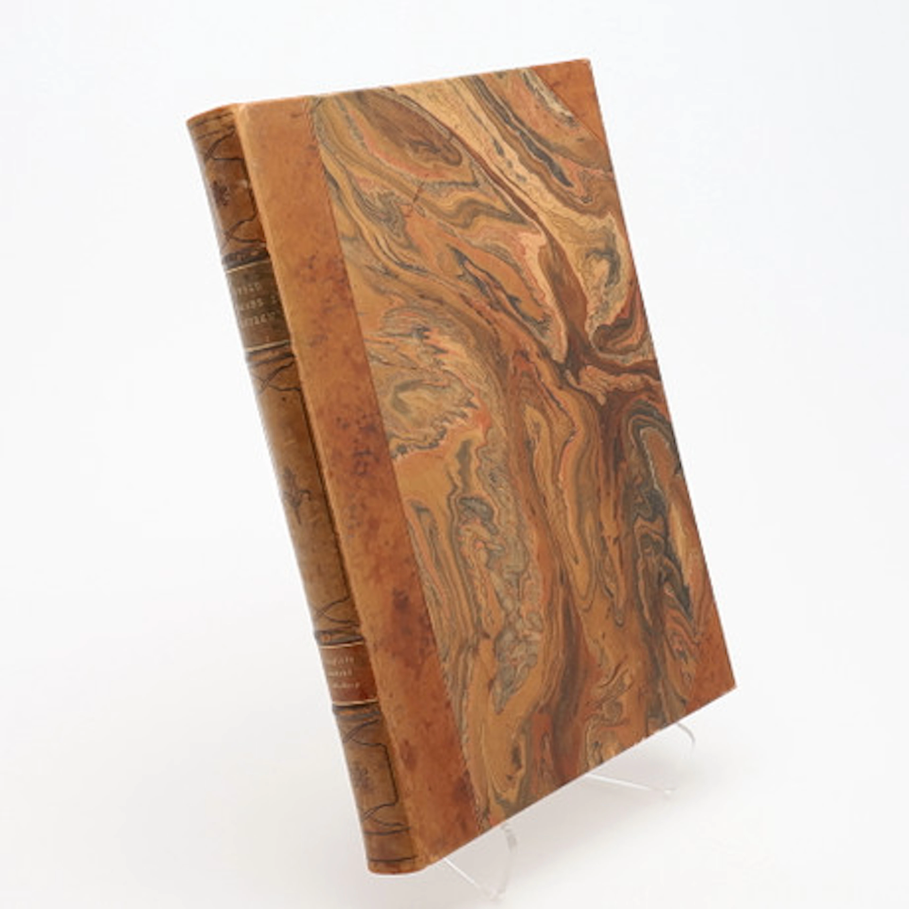 FOTO. KARL BLOSSFELDTS EFTERSÖKTA KONSTFOR…