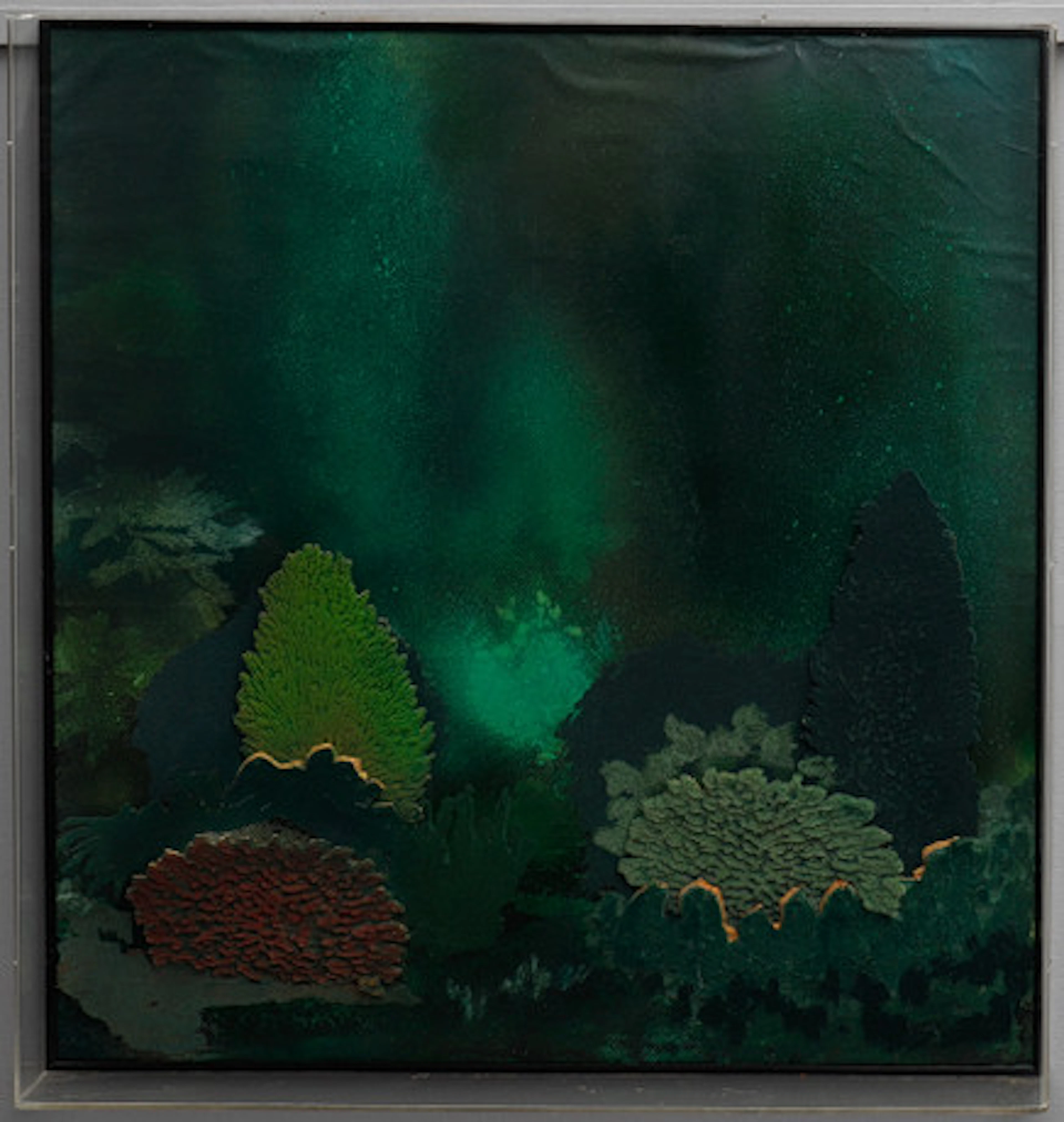 IVOR ABRAHAMS. TRÄDGÅRDSVEGETATION.