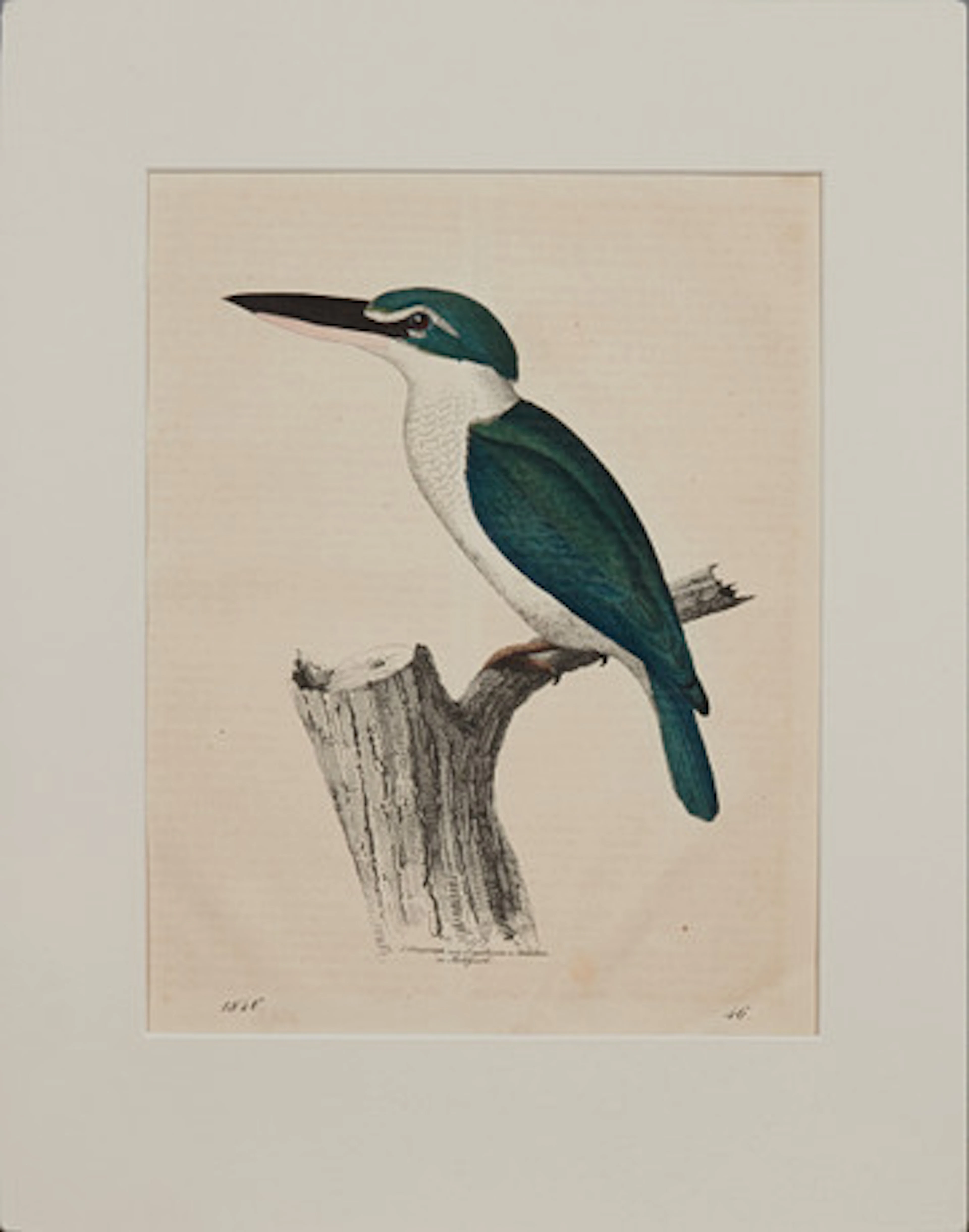 HANDKOLORERADE litografier, 4 st, 1800-tal…