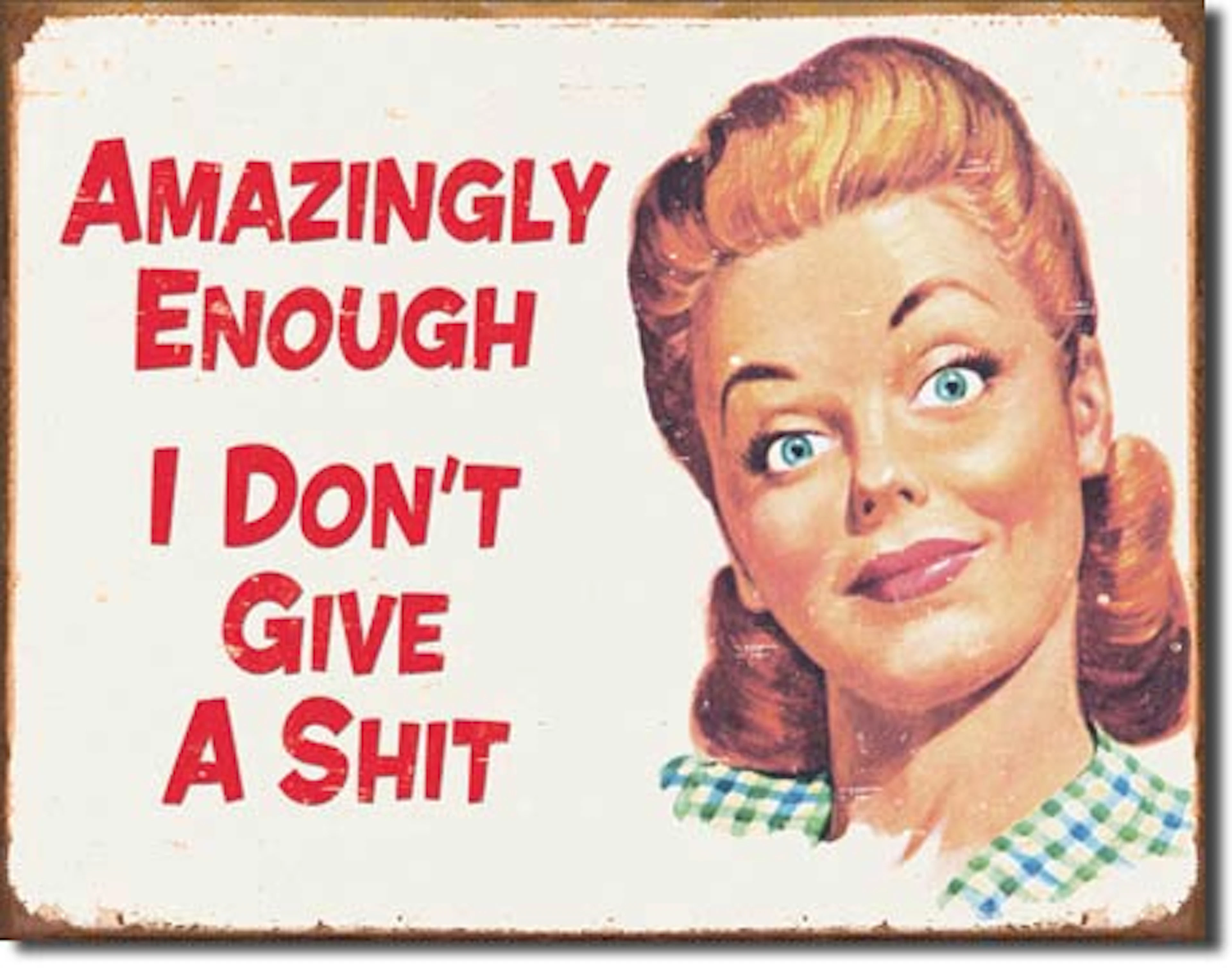 FUNNY METAL SIGN 12.5" X 16"