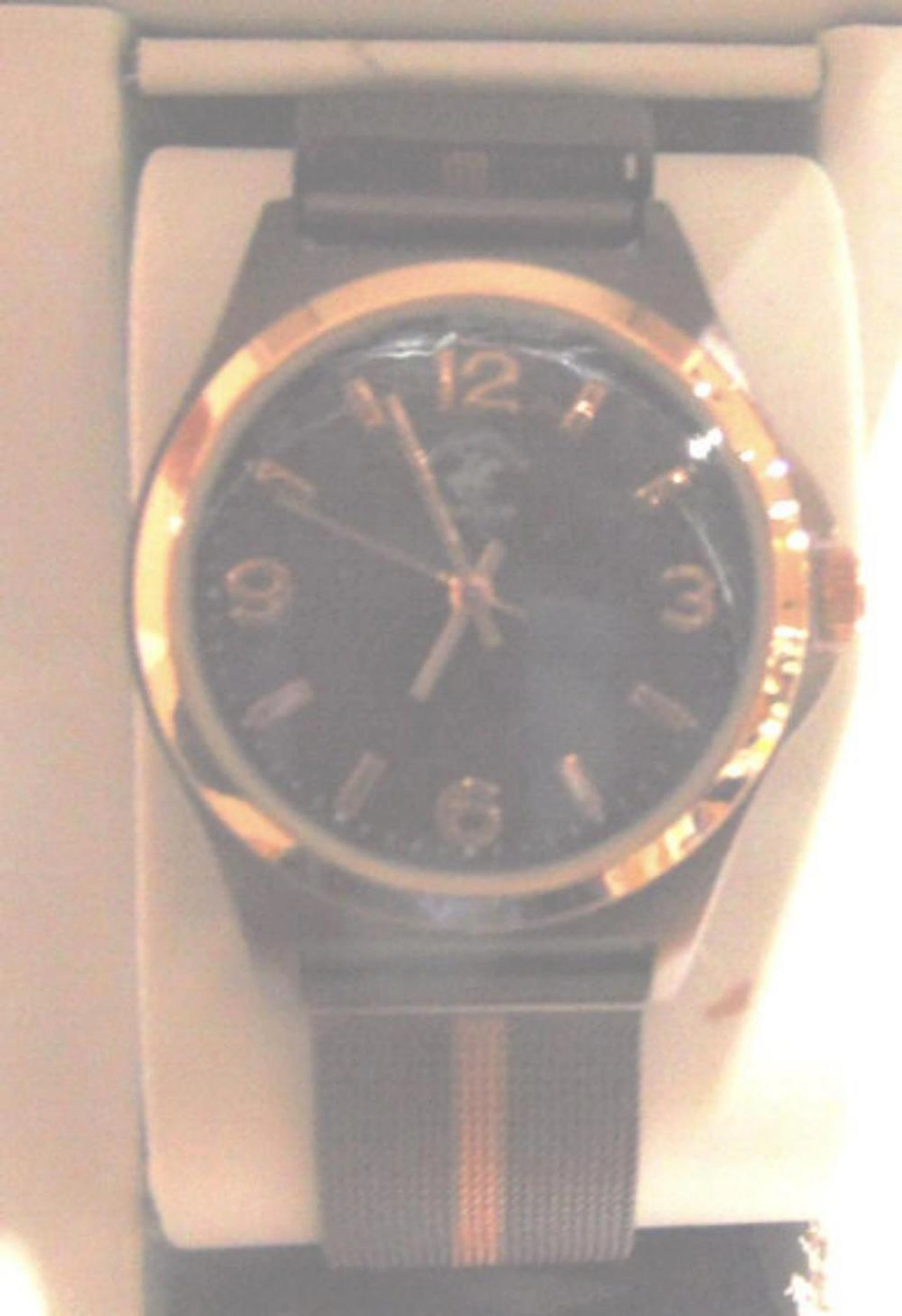 Two Tone Beverly Hills Polo Watch