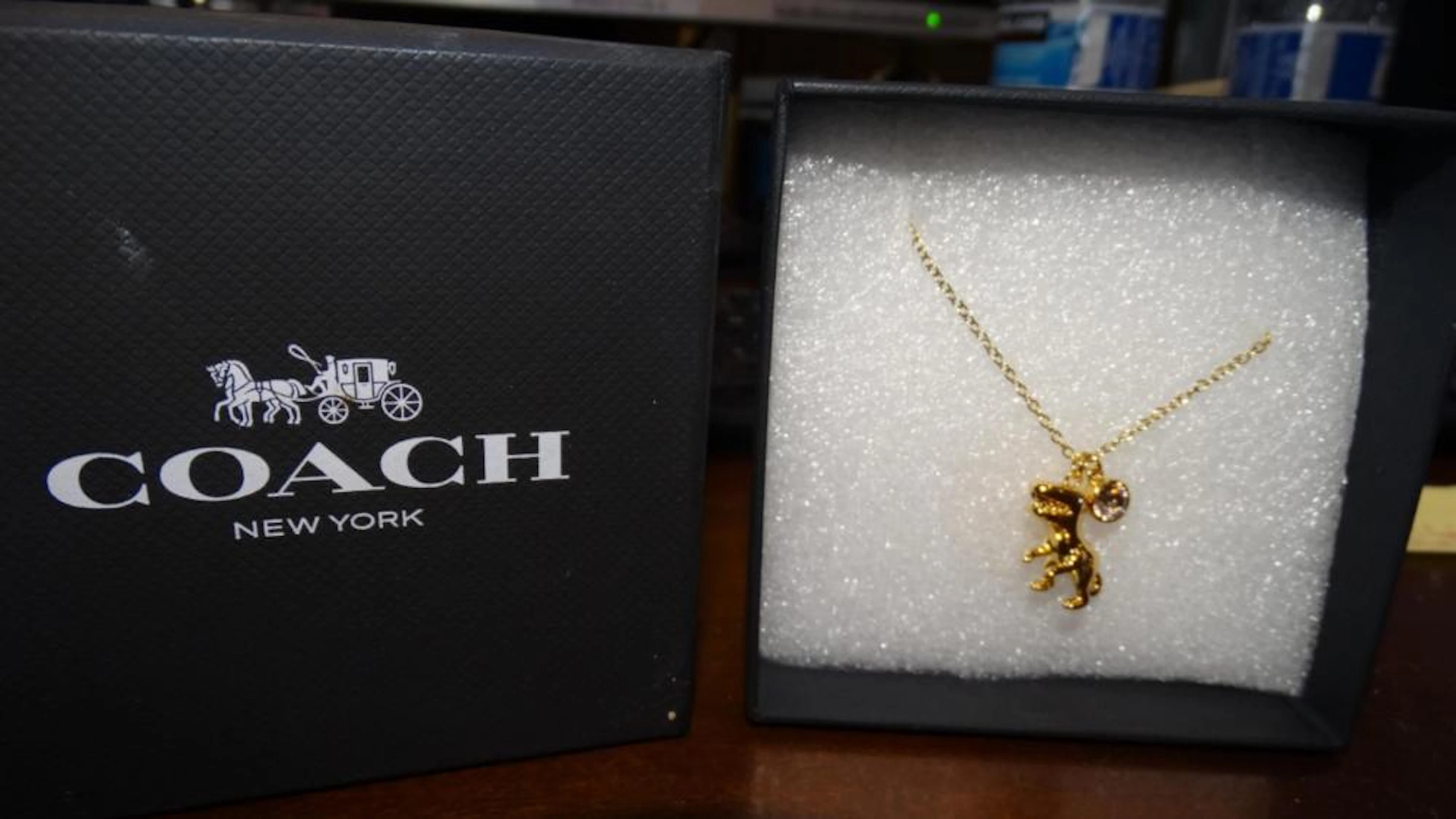 Coach Gold Tone Rexy Signature Necklace