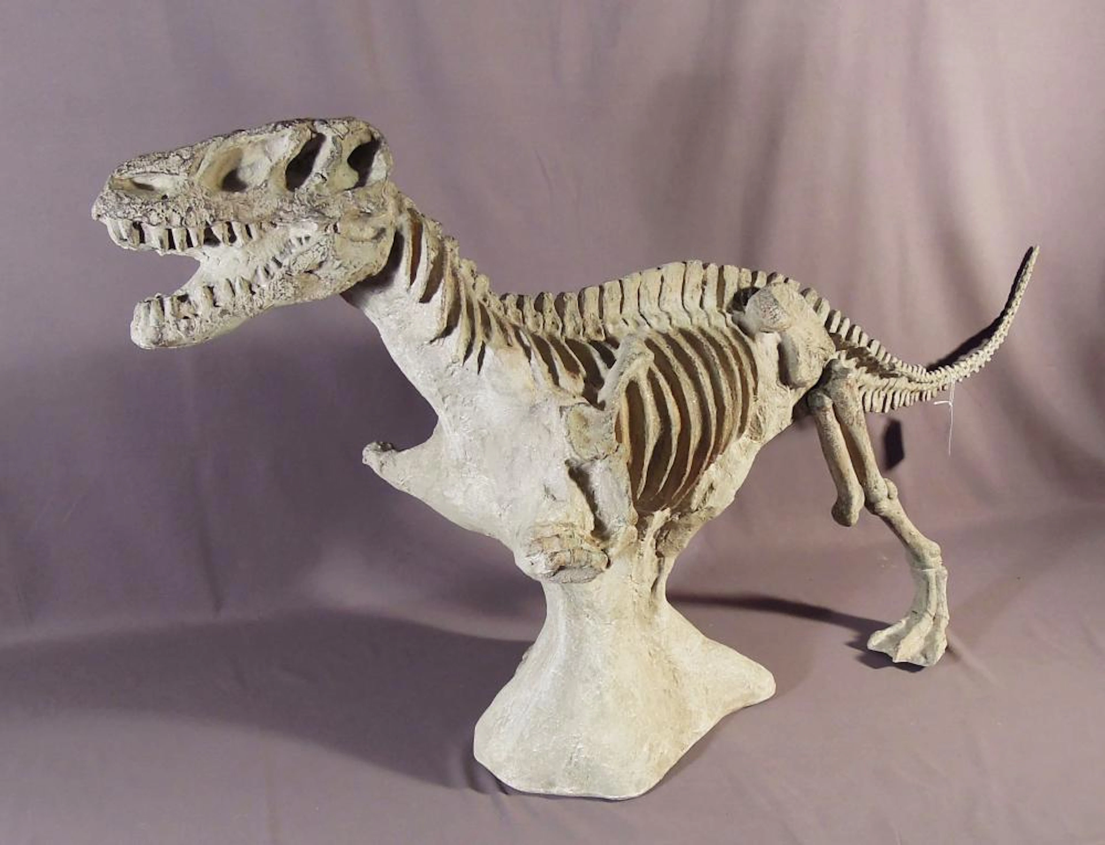 REPRODUCTION SKELETON OF A TYRANNOSAURUS REX