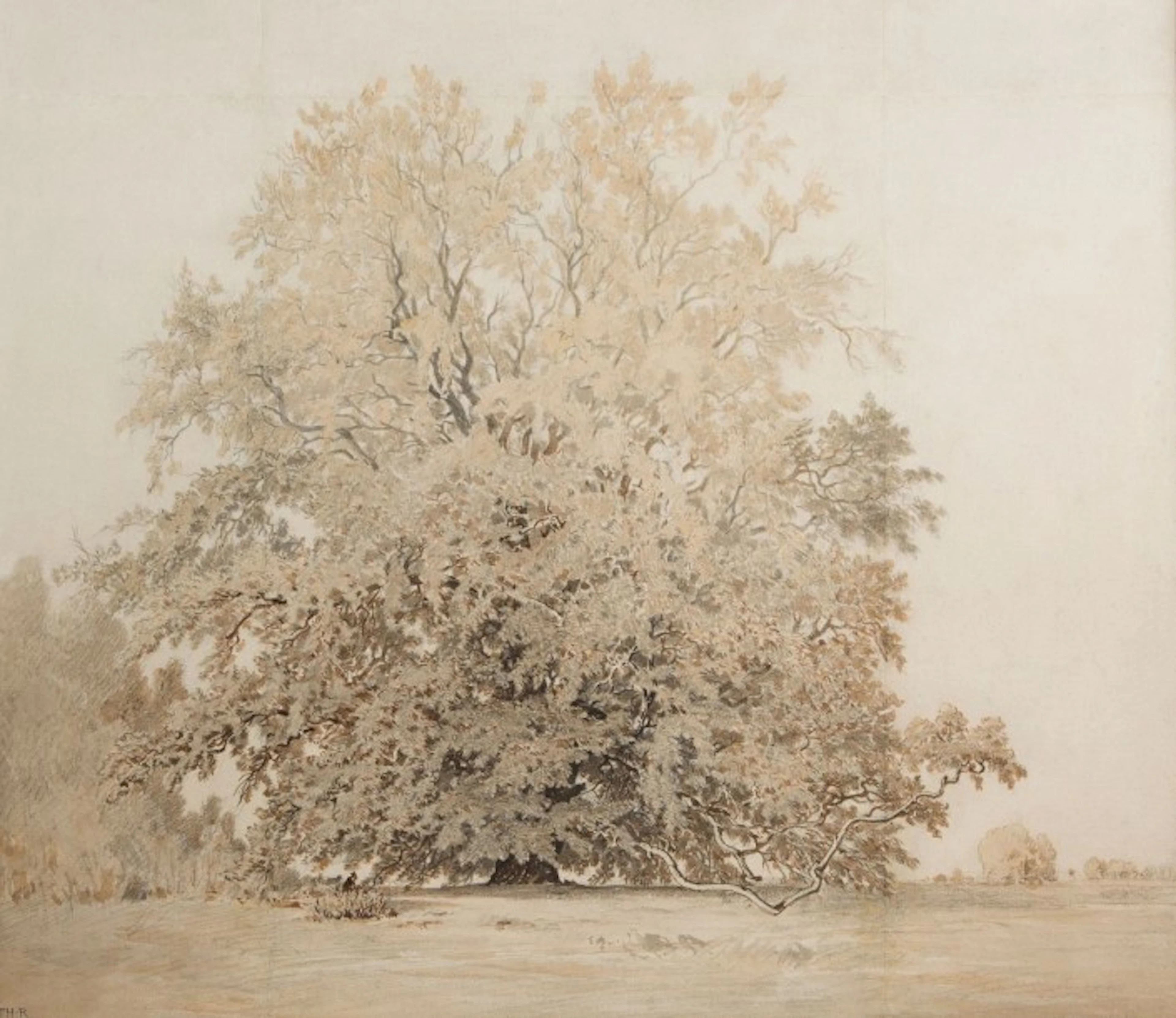 Théodore ROUSSEAU (Paris 1812 – Barbizon 1867)