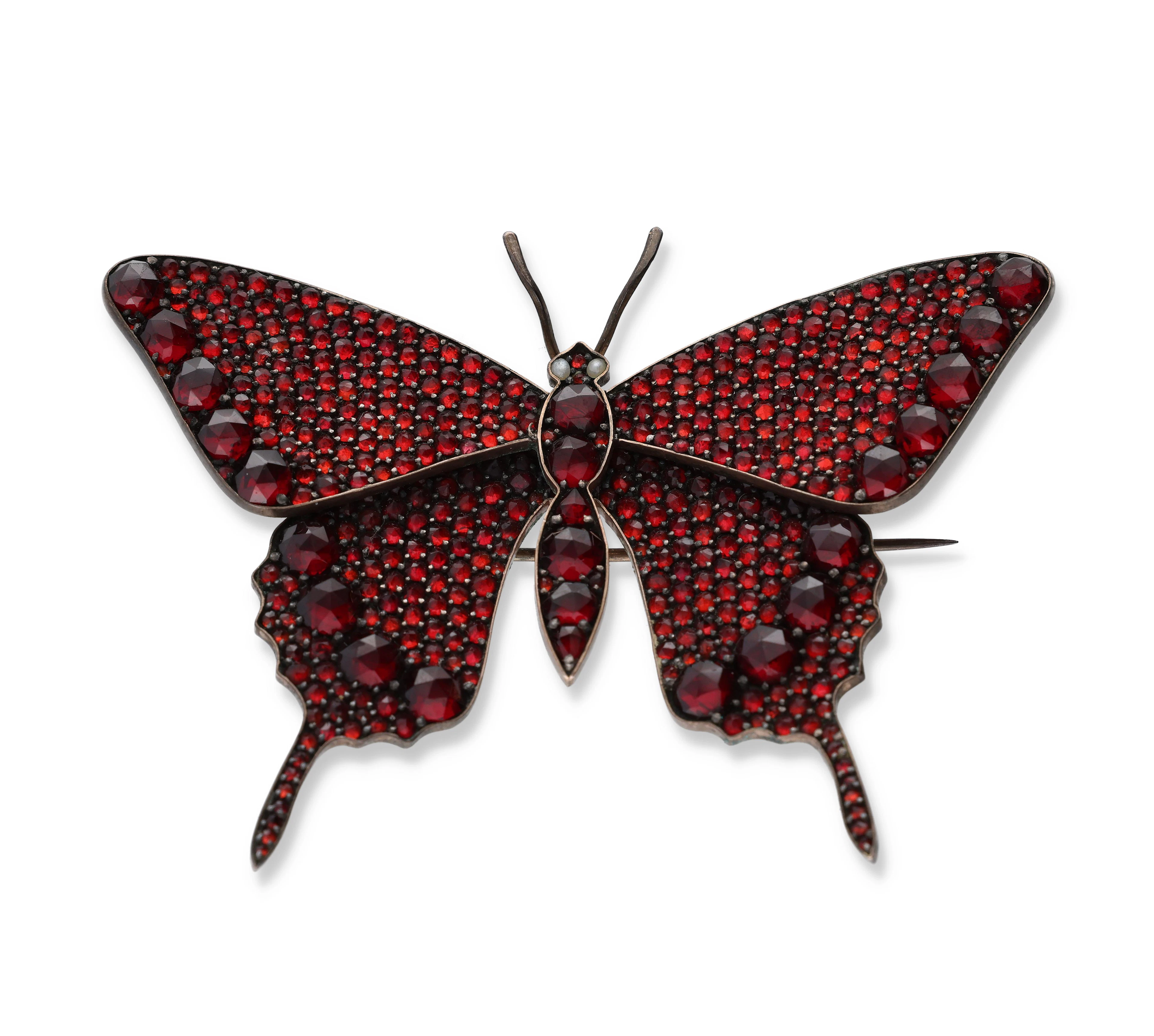 Granatbrosche Schmetterling