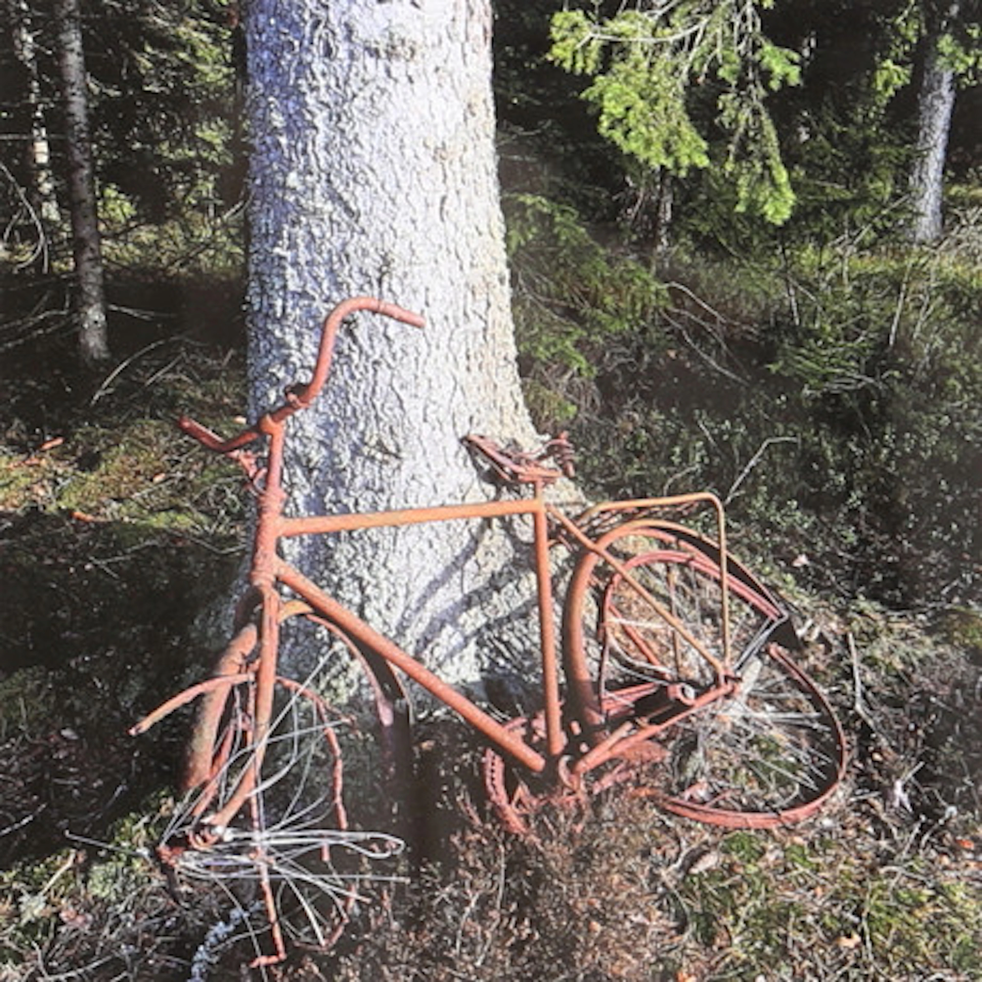 NILS BERGQVIST. Trasig cykel. Fotografi, s…