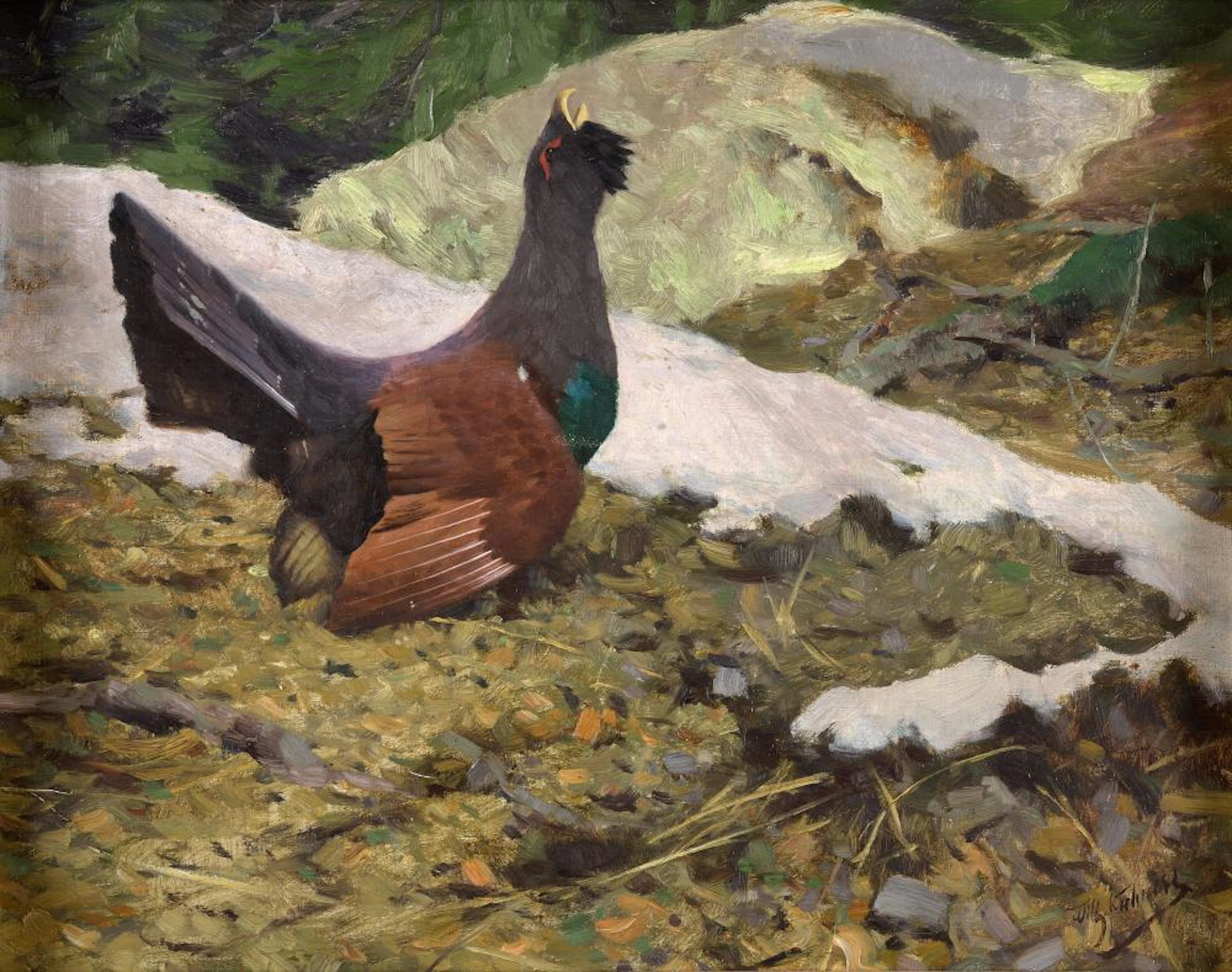 Kuhnert, Wilhelm