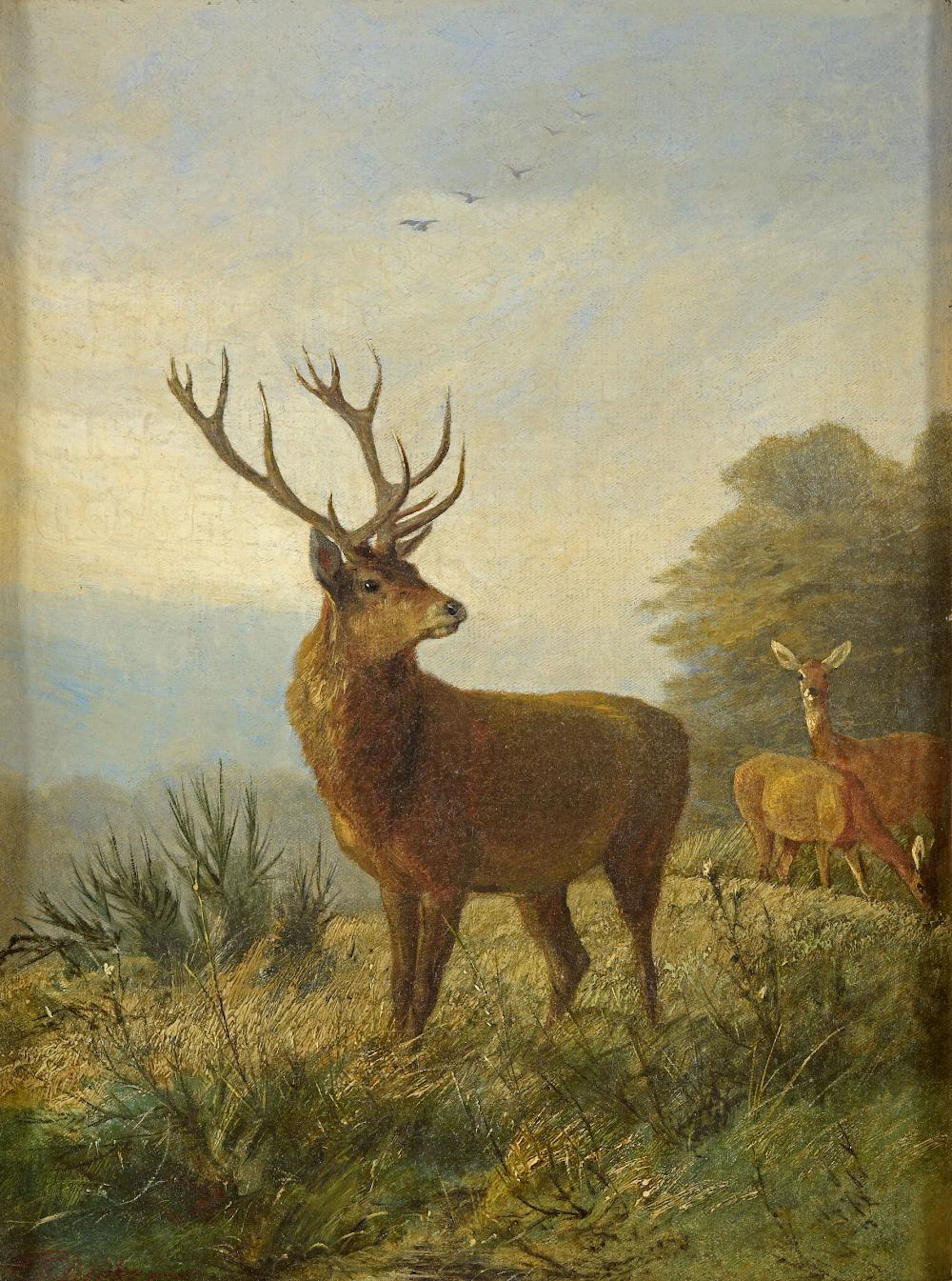 Deiker, Carl Friedrich 1836 Wetzlar - 1892 Düsseldorf