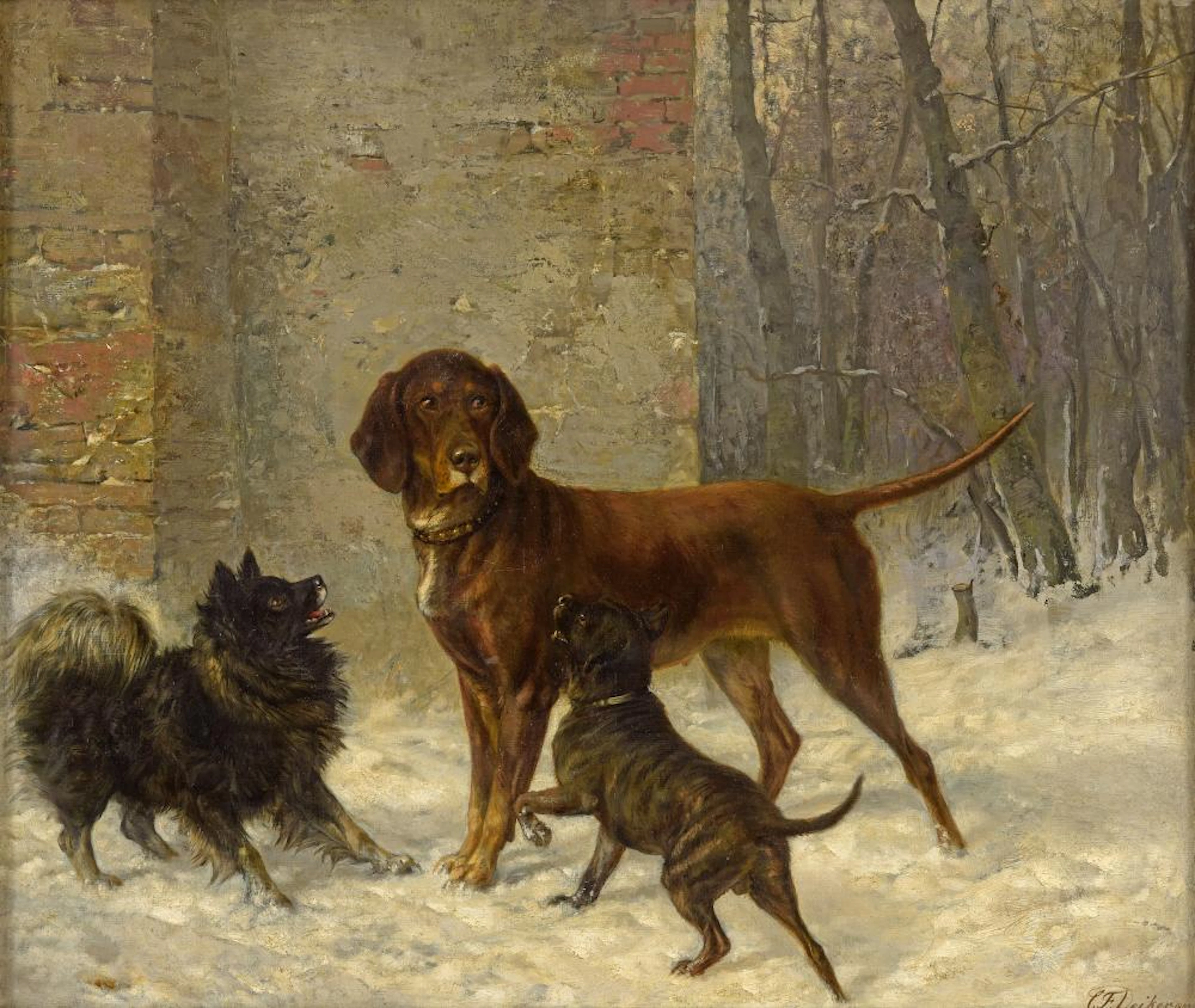 Deiker, Carl Friedrich
