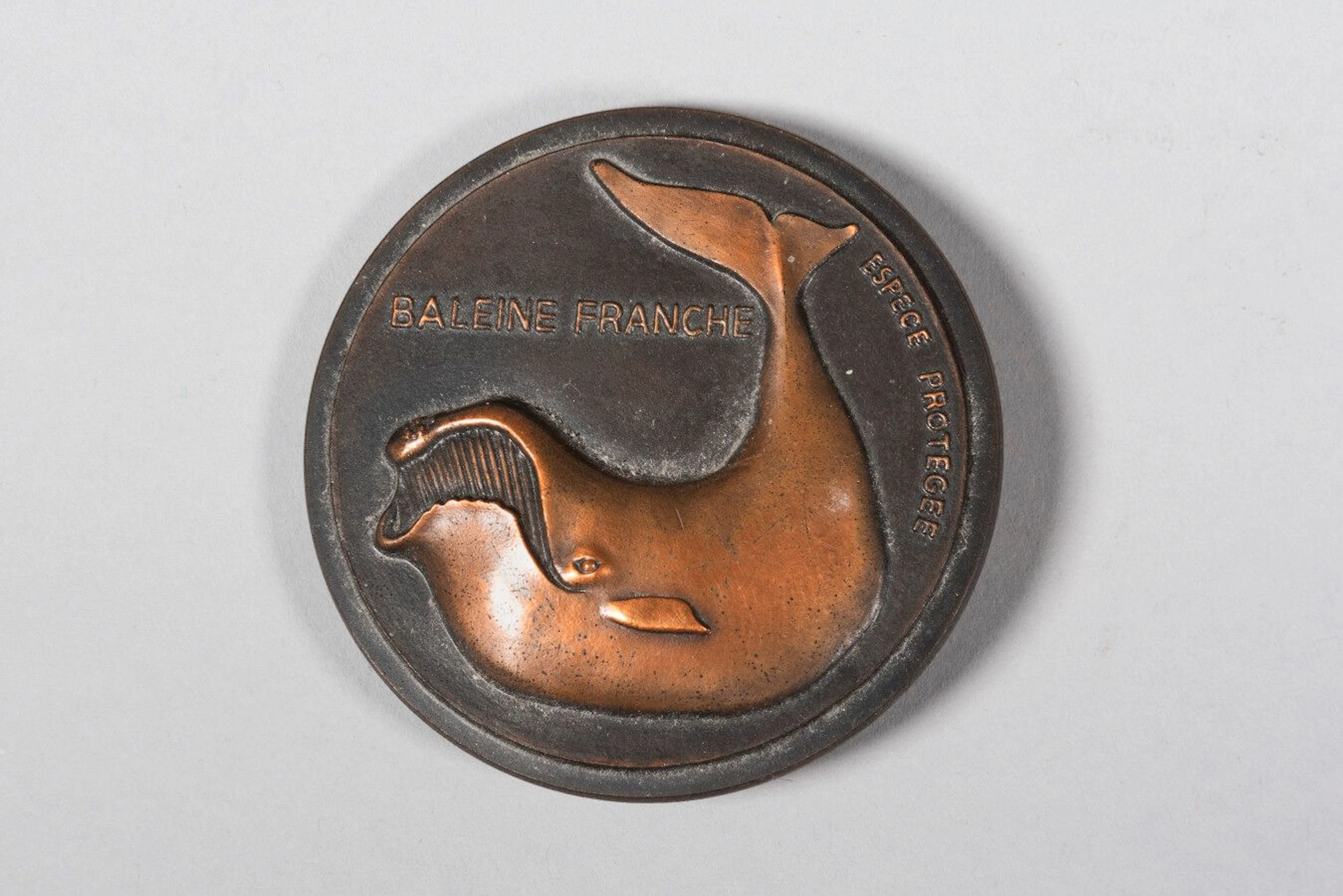LHOSTE Baleine franche Médaille en bronze... - Lot 10 - Eve