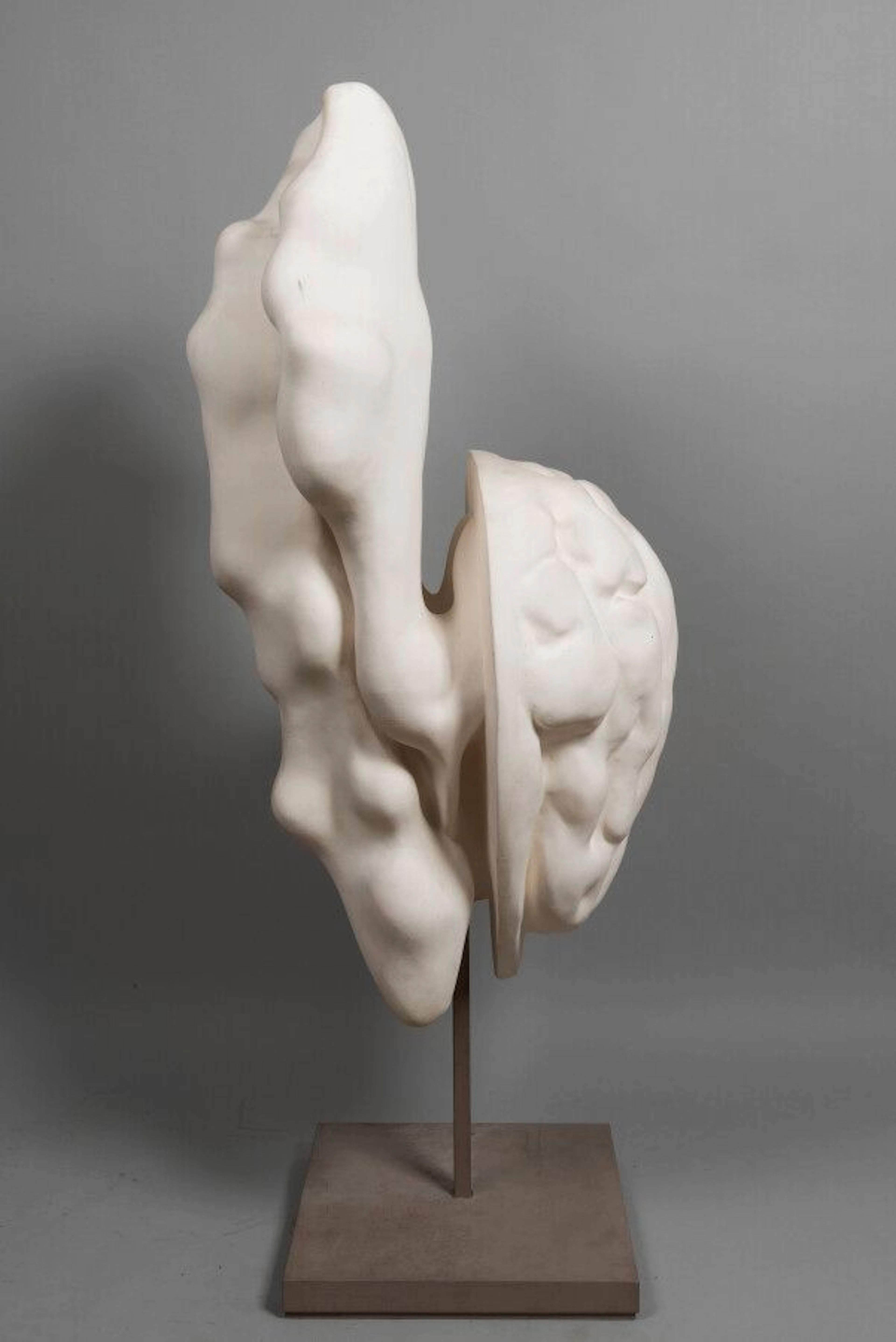 LHOSTE La noix Plâtre Haut : 110 cm (... - Lot 57 - Eve