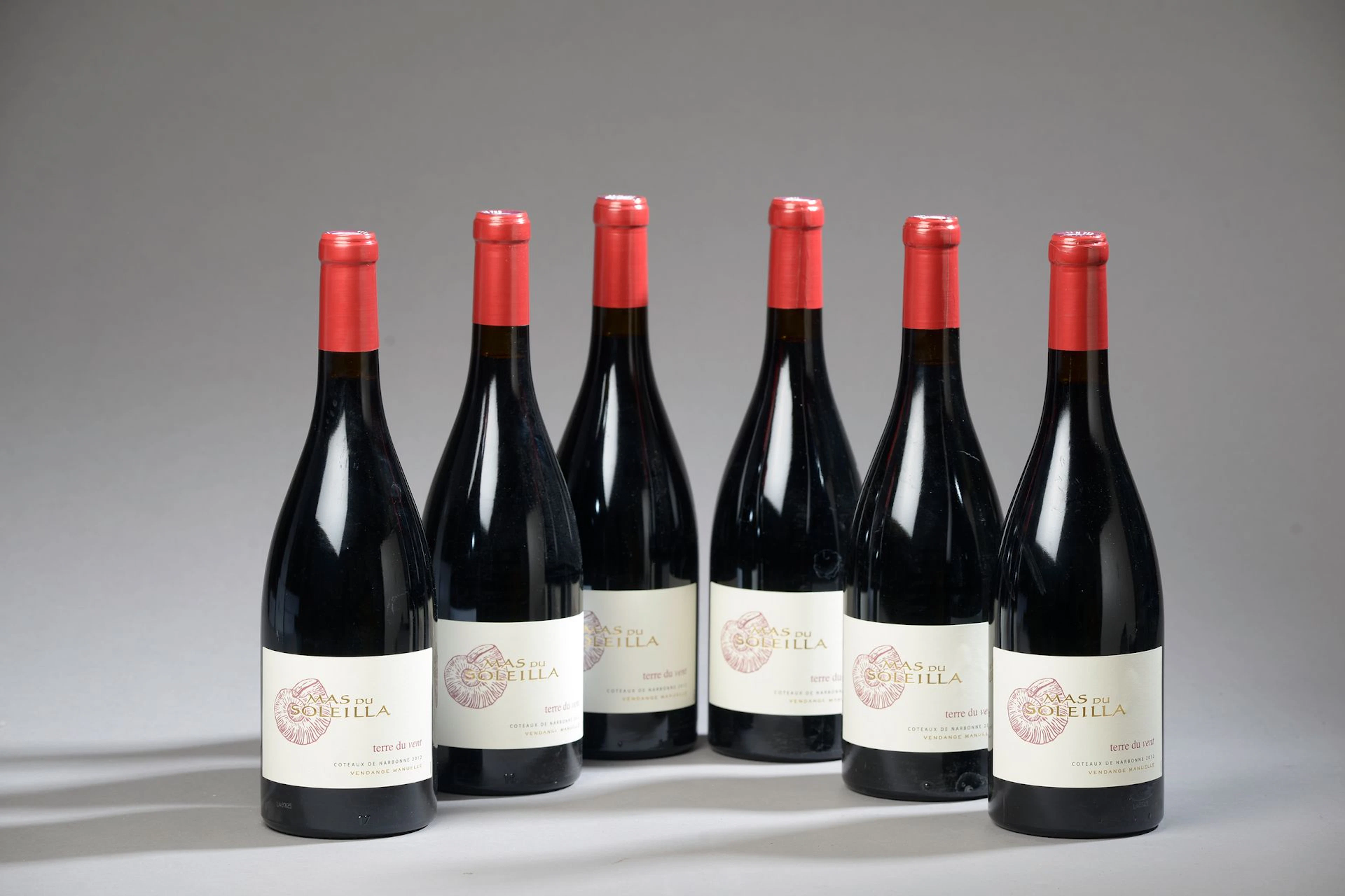 6 bouteilles COTEAUX DE NARBONNE "Terre du... - Lot 19 - Le Floc'h