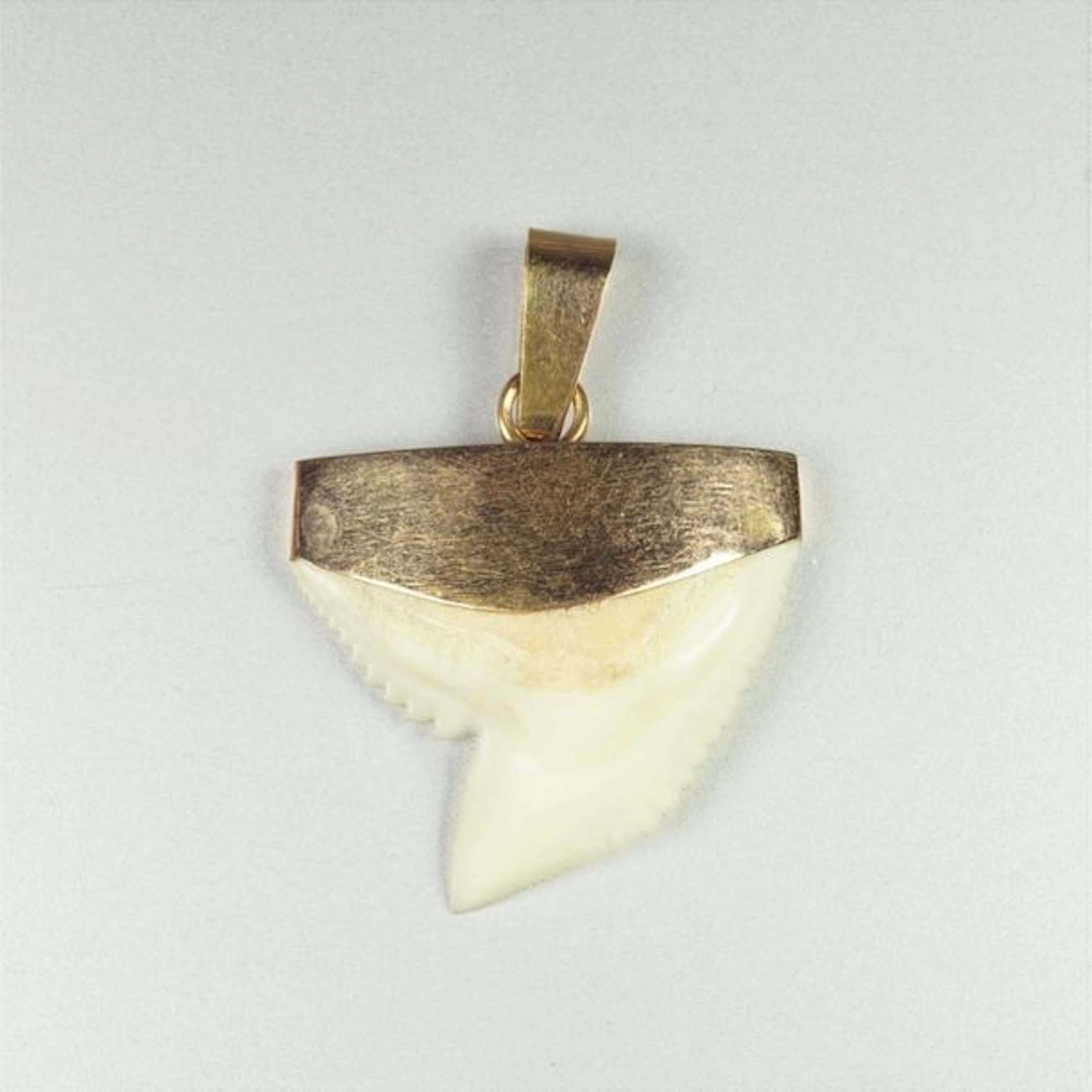 Dent dans une monture or jaune 18 carats...