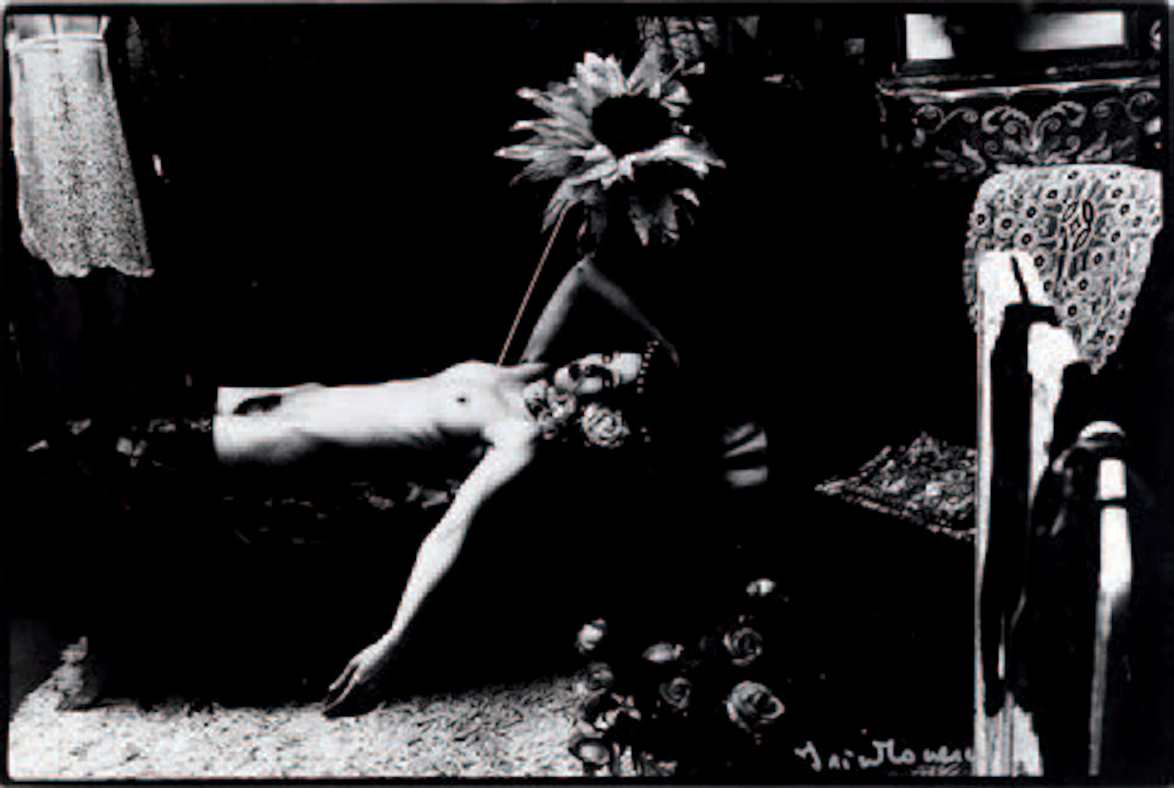IRINA IONESCO
