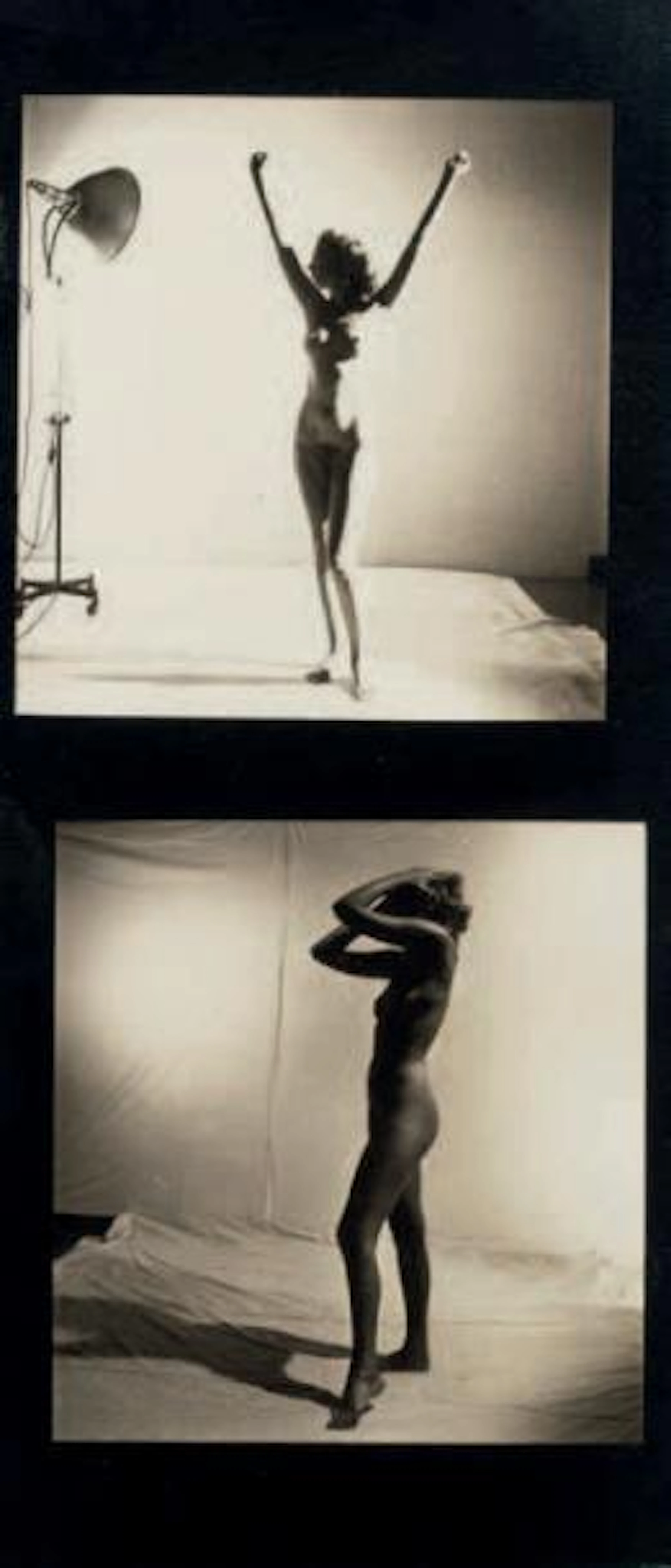 LOUISE DAHL-WOLFE 1895-1989