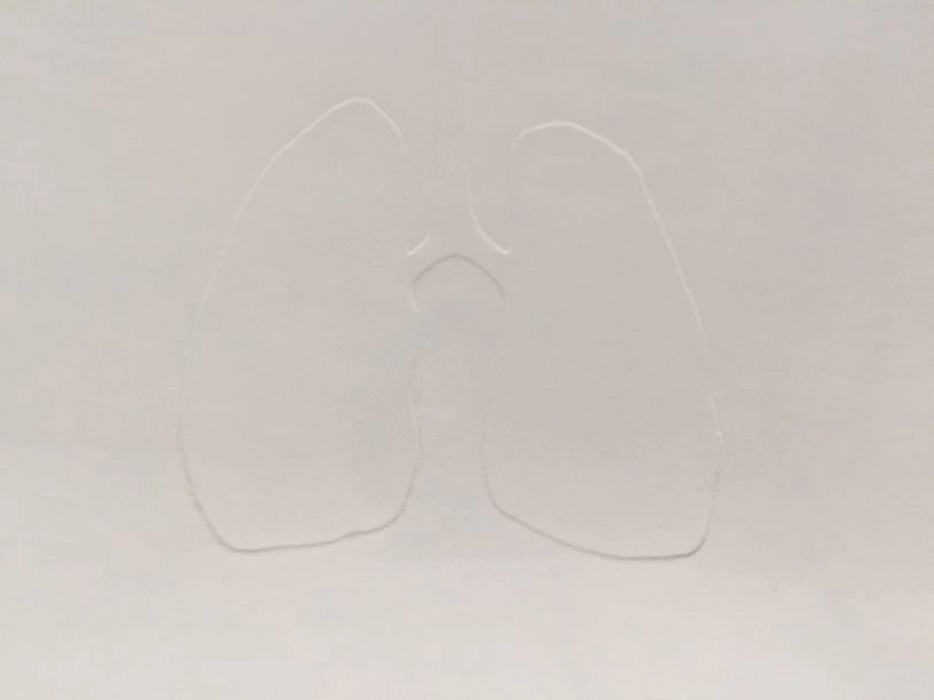 Felix Gonzalez Torres
