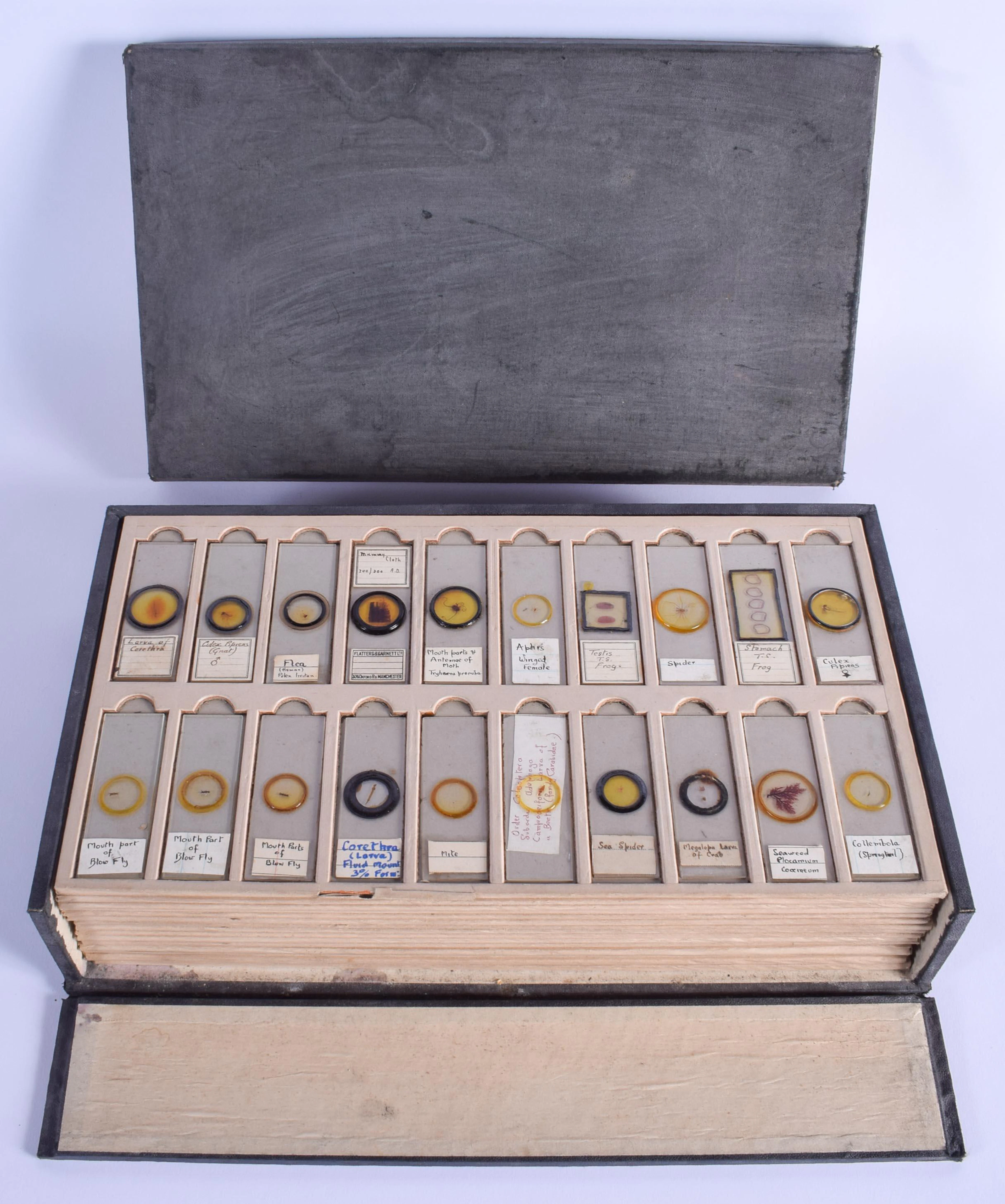 ASSORTED VINTAGE MICROSCOPE SLIDES including Flies,