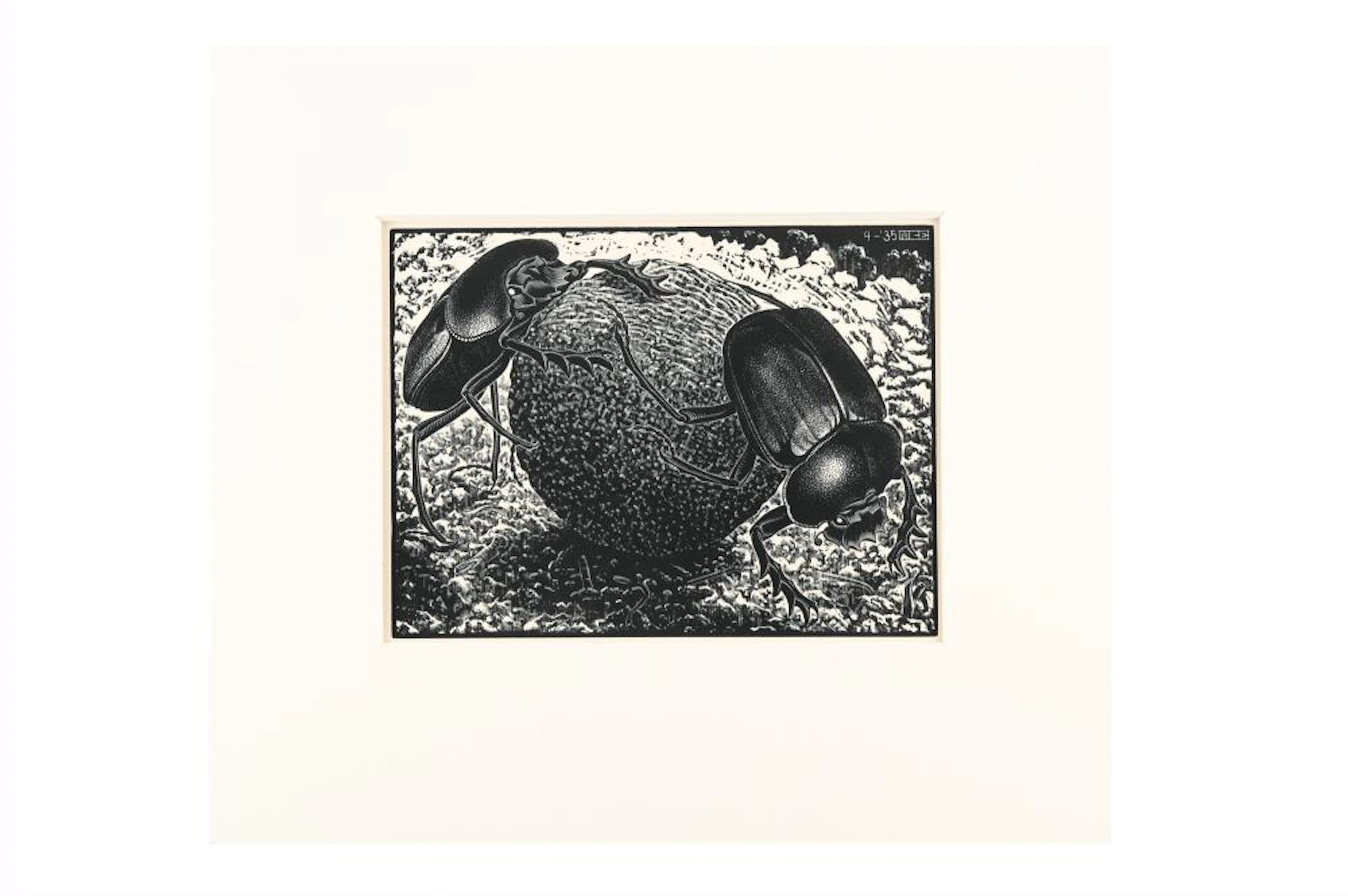 Maurits Cornelis Escher (1898-1972), 'Scarabs'