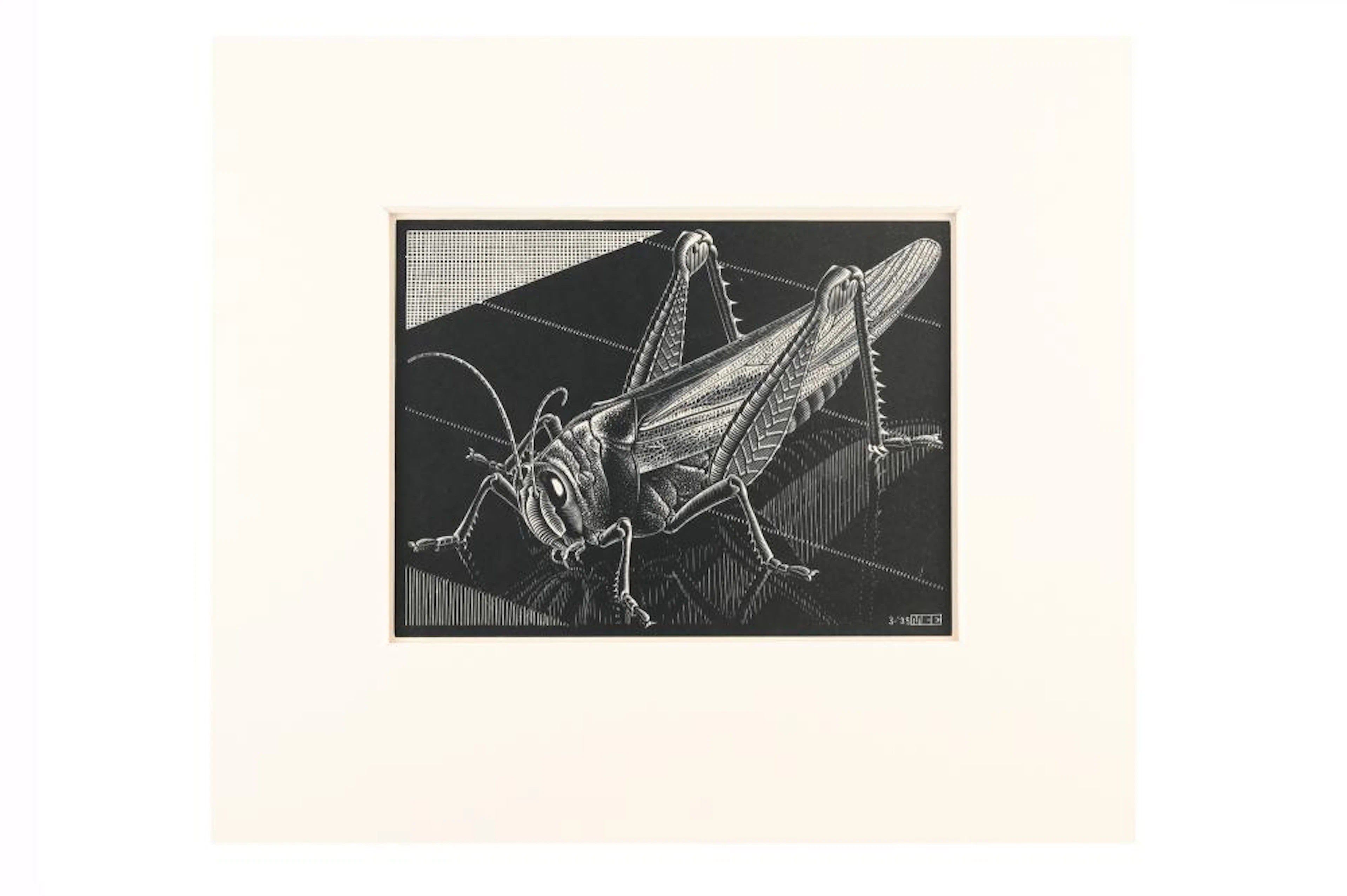 Maurits Cornelis Escher (1898-1972), 'Grasshopper'