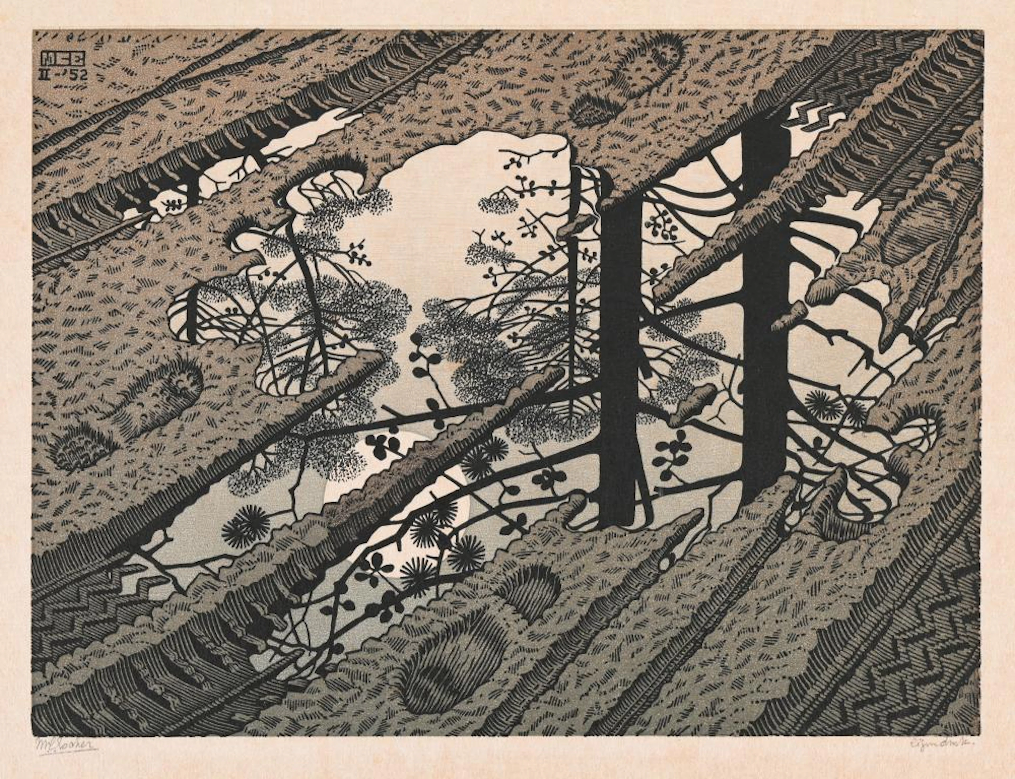Maurits Cornelis Escher (1898-1972), 'Puddle'