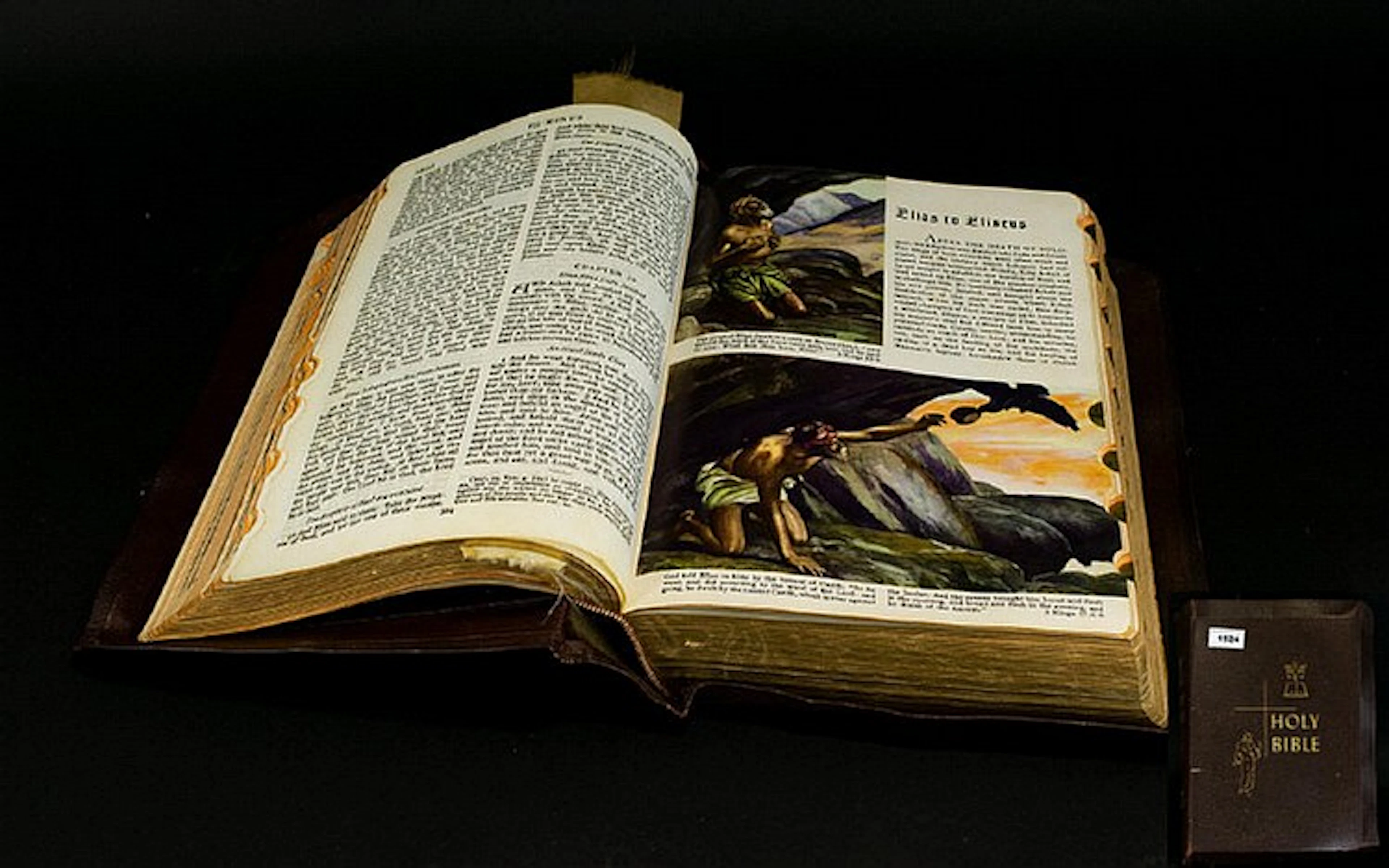 Family Holy Bible