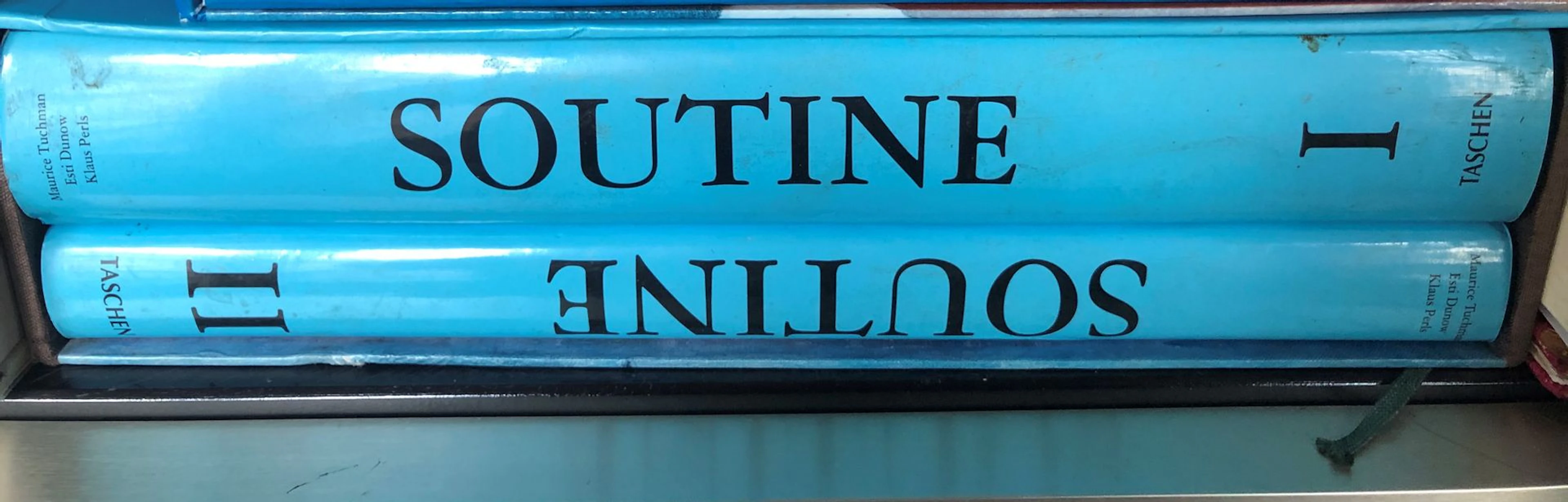 Catalogue raisonnée Chaim Soutine