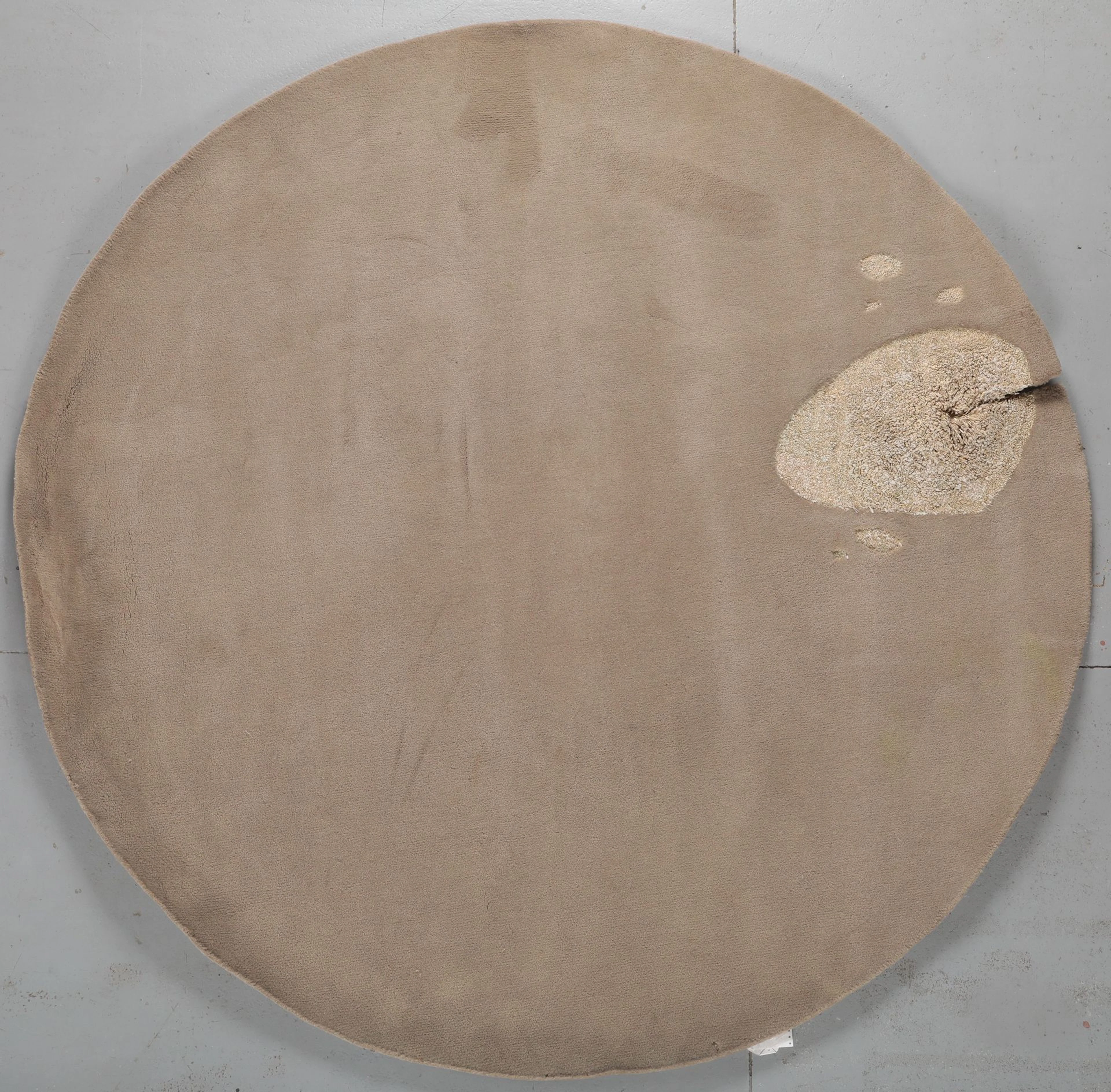Tapis moderne contemporain tufté