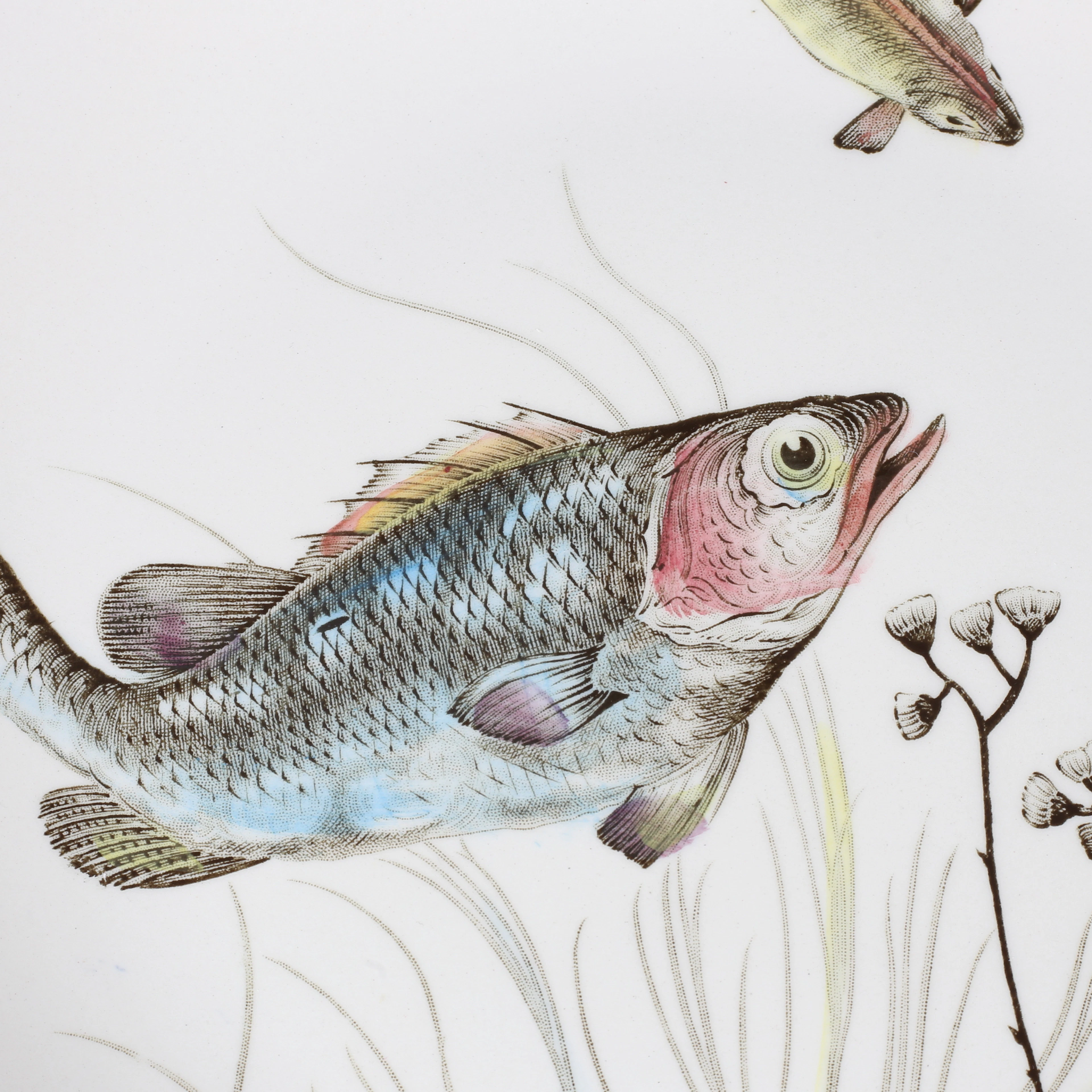 TALLRIKAR, samt uppläggningsfat, 7 delar, porslin, Fish, Johnson Bros.
