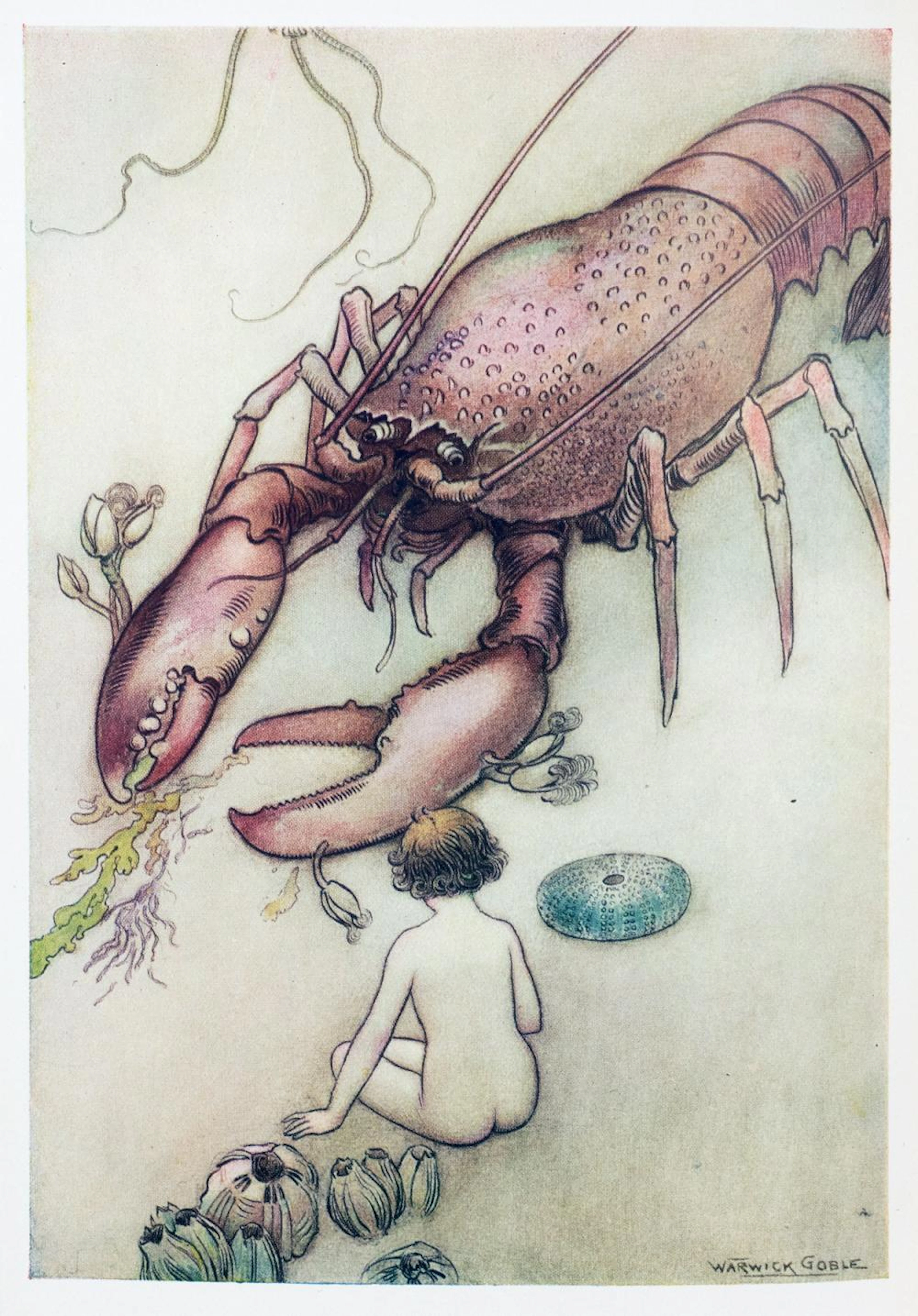 Warwick Goble - Charles Kingsley. The Water-Babies.