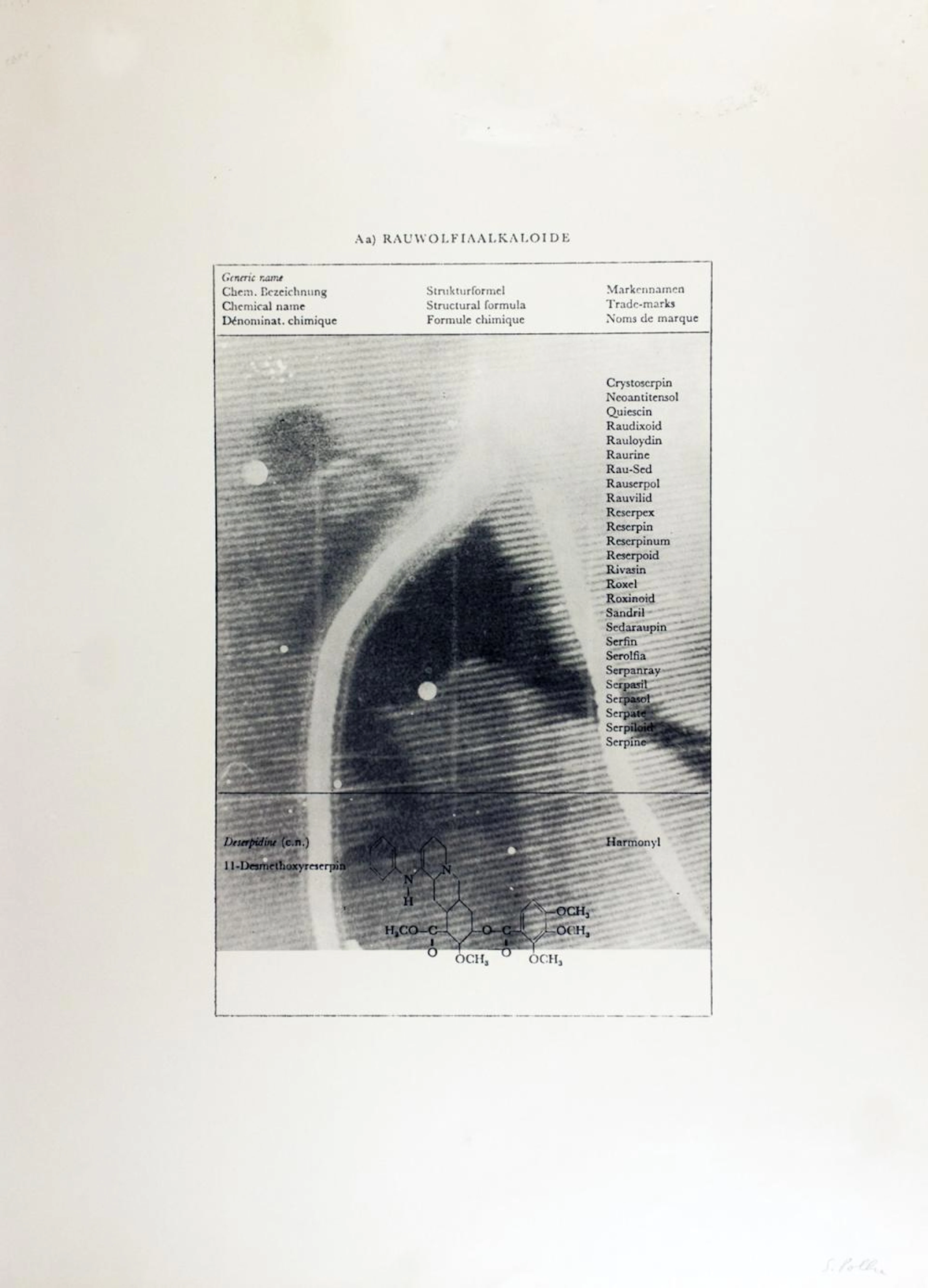 Sigmar Polke. Fernsehbild Eishockey (Rauwolfialkaloide).