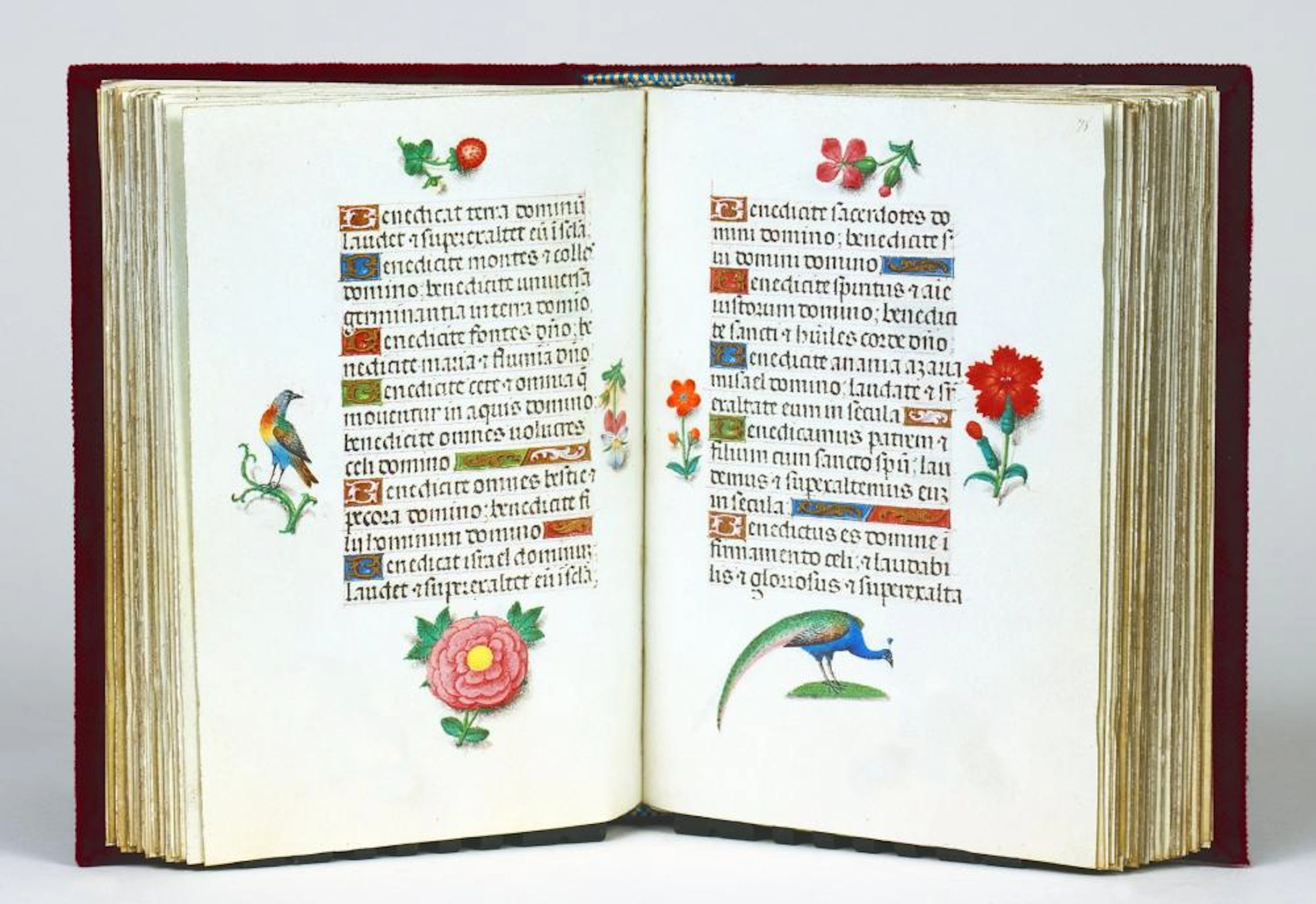 Faksimiles - Le livre d'heures aux fleurs