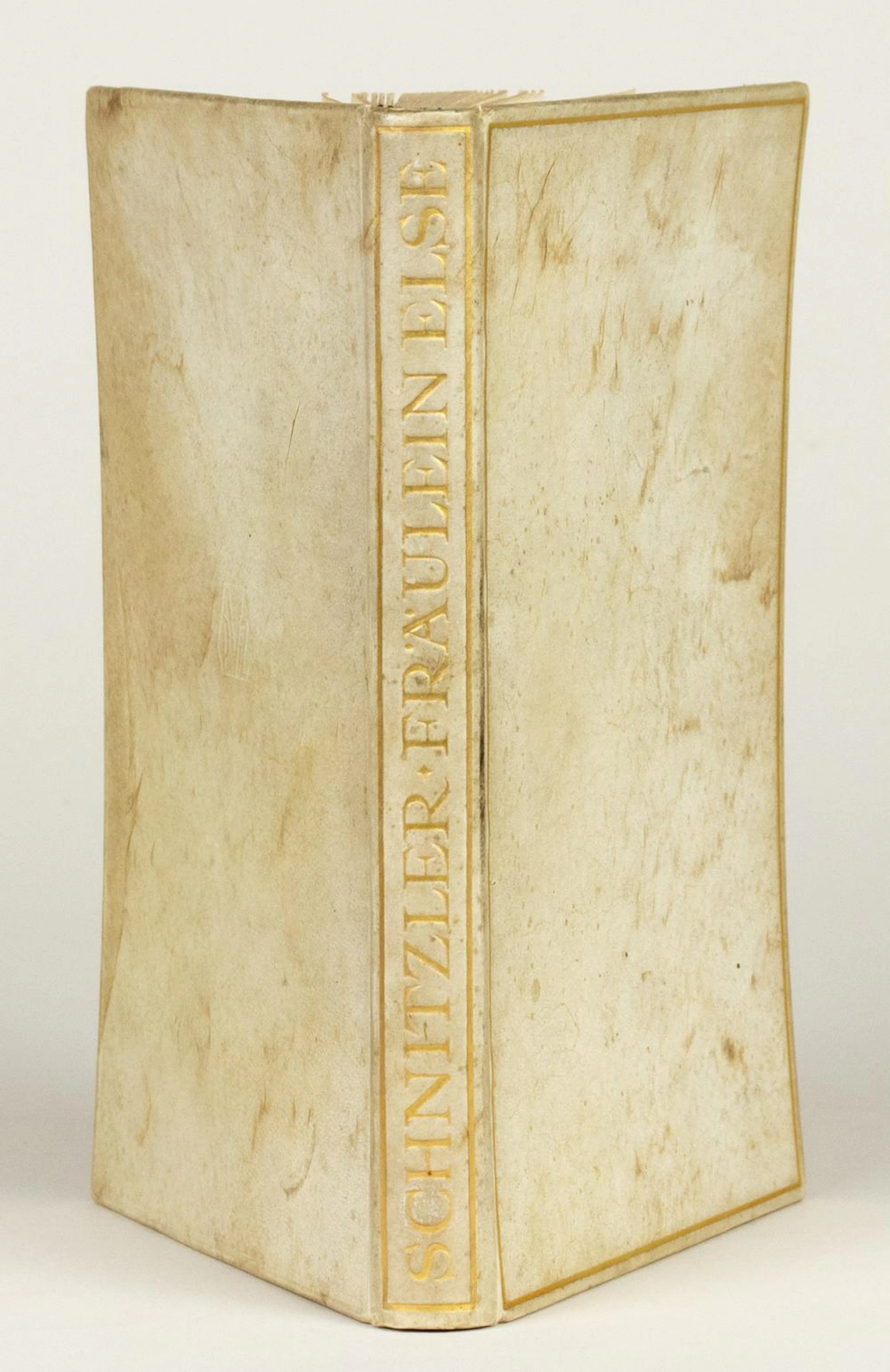 Arthur Schnitzler. Fräulein Else.