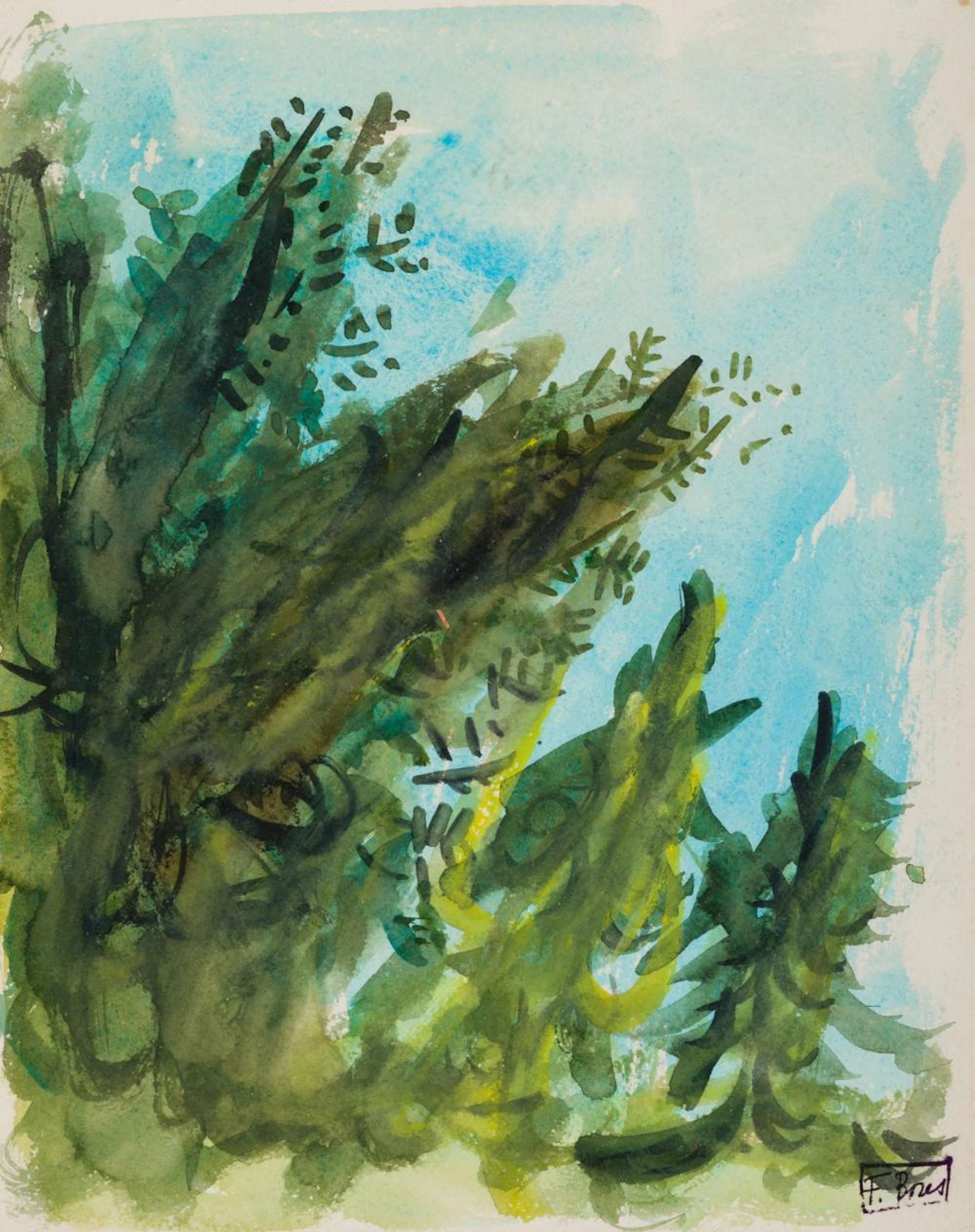 FRANCISCO BORES Madrid (1898) / Paris (1972) "Vegetation"
