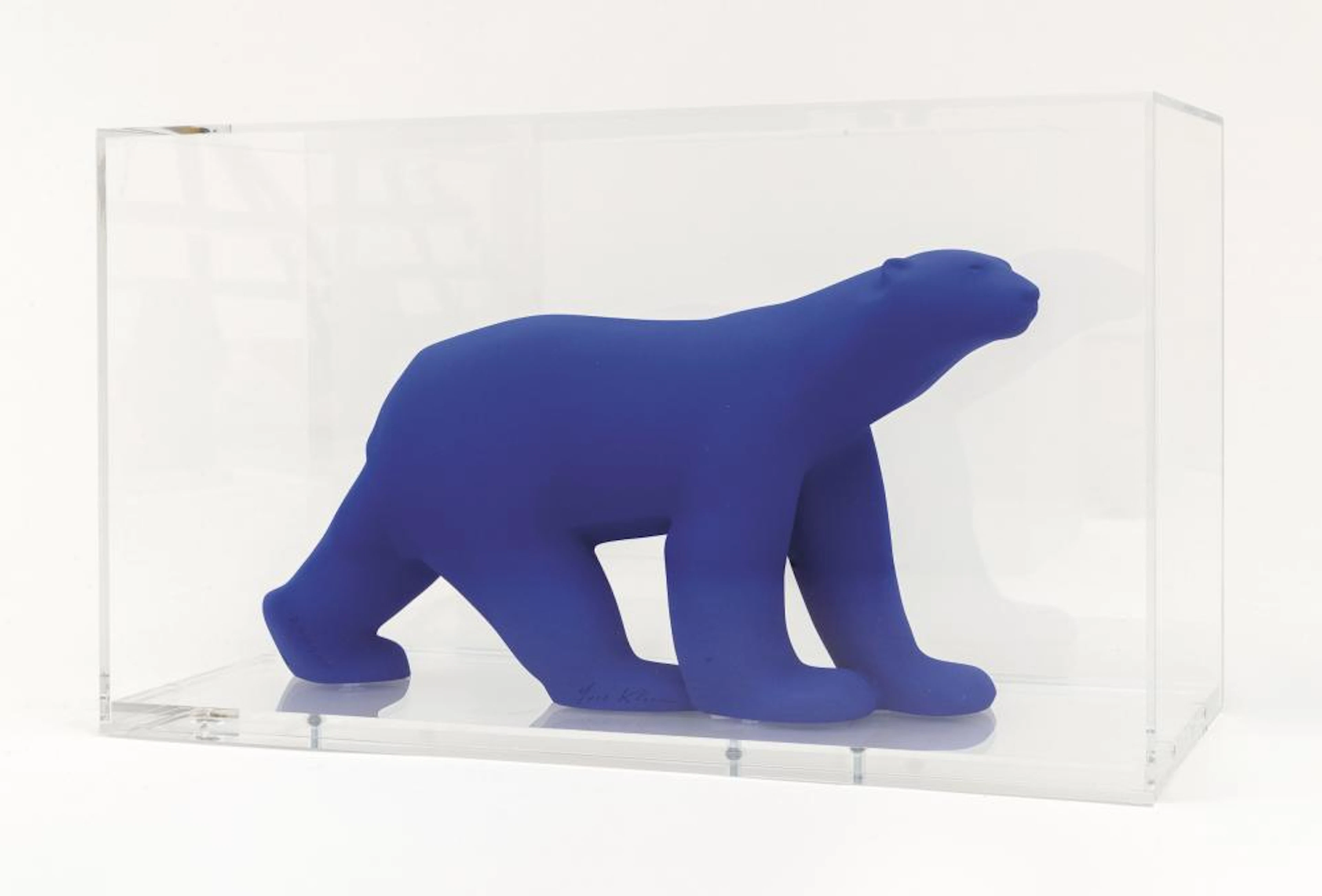 Édition Yves Klein - L'ours Pompon (2020)