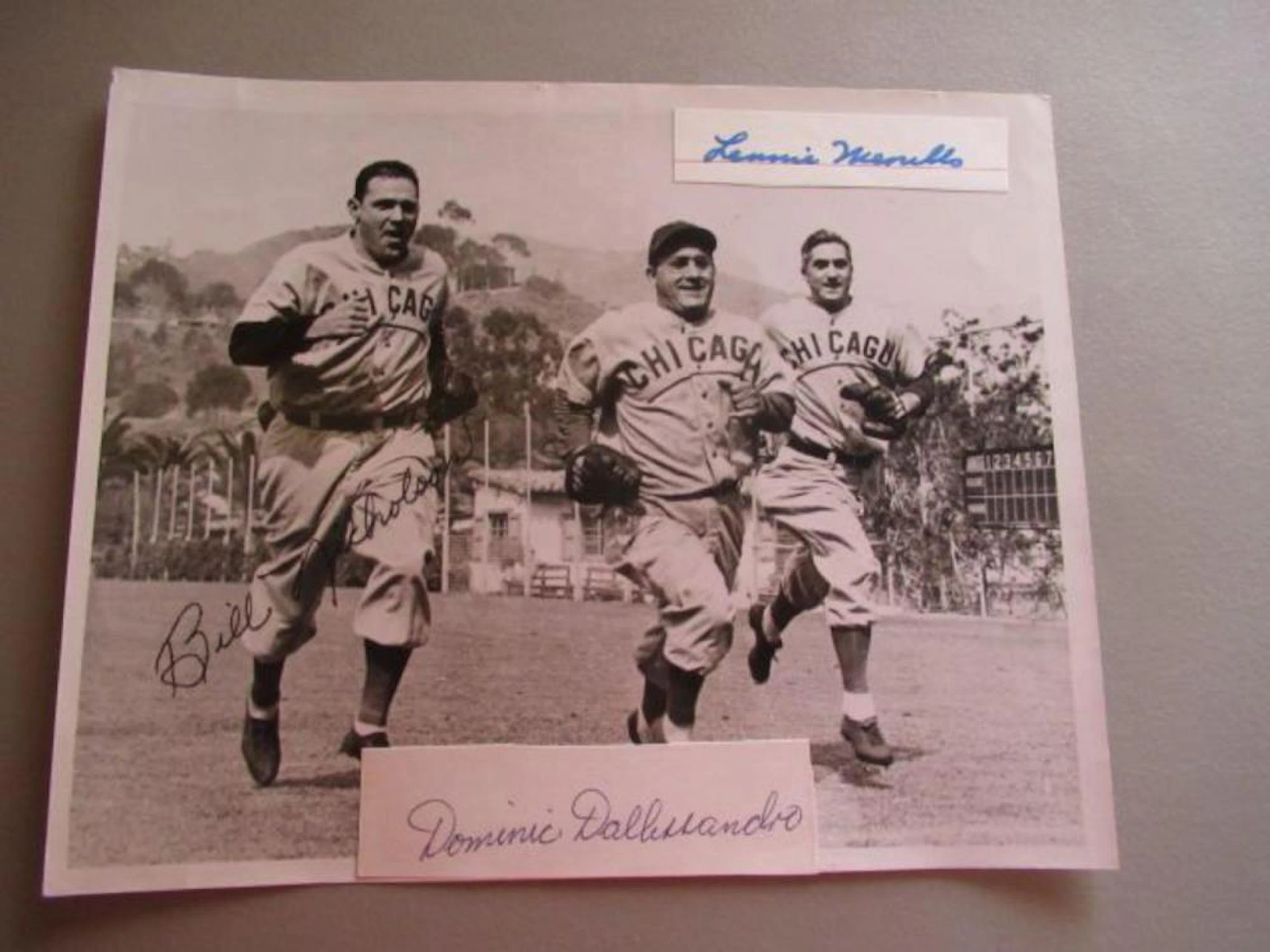 1940 UP Cubs Photos Signed Nicholson, Dallesandra