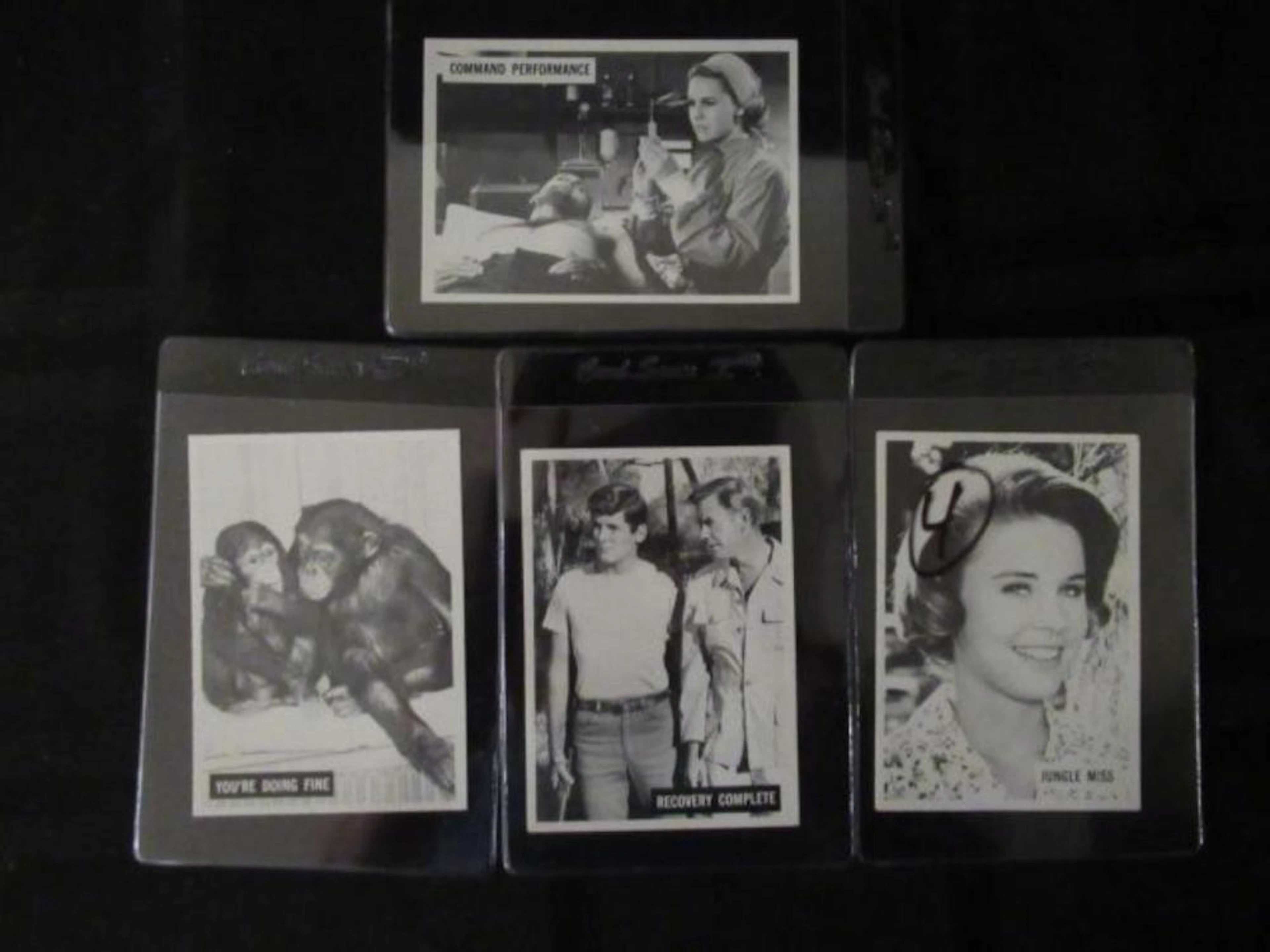 4 1966 Daktari Cards EXM to NM