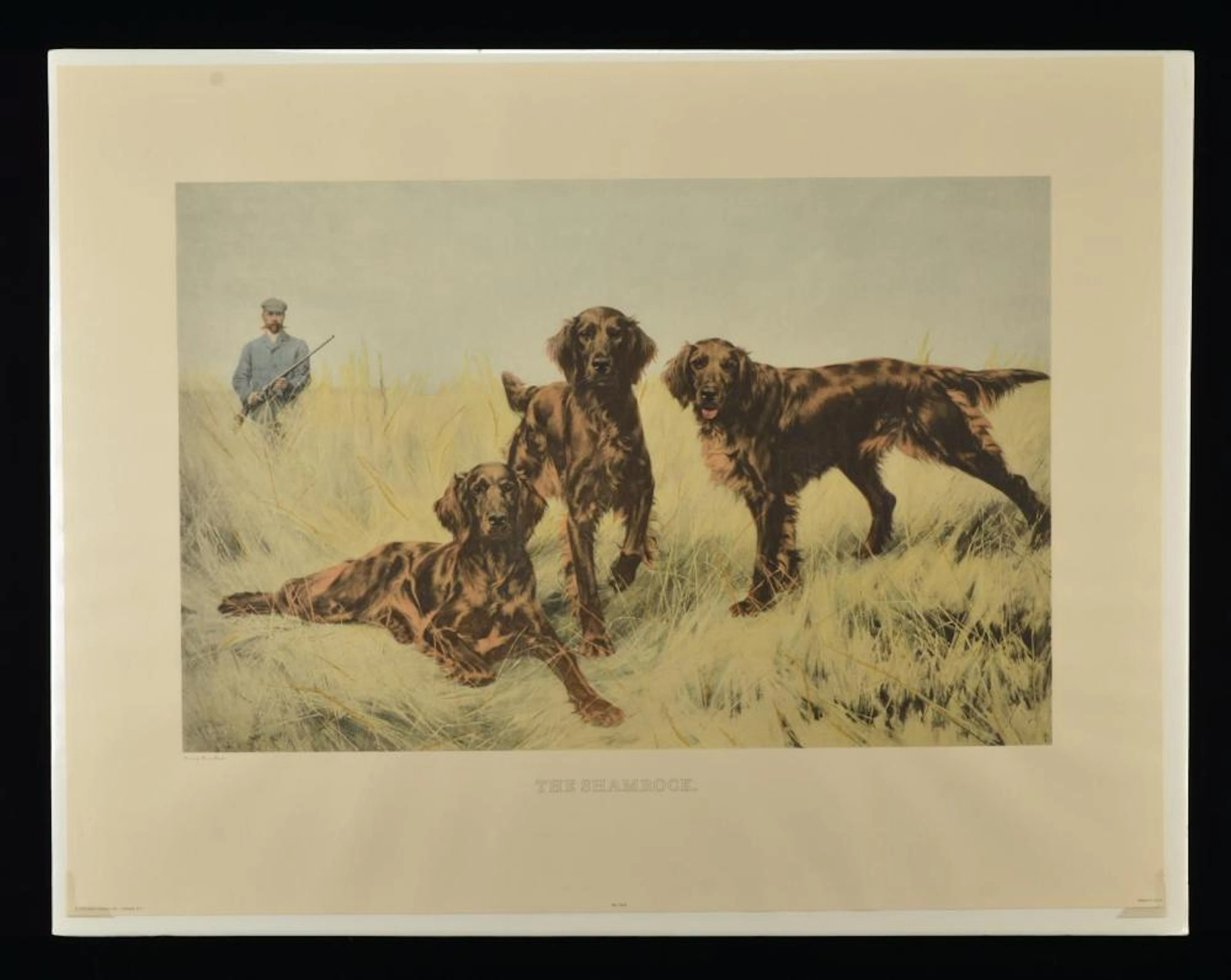 15+ PRIMARILY HUNTING DOG PRINTS.
