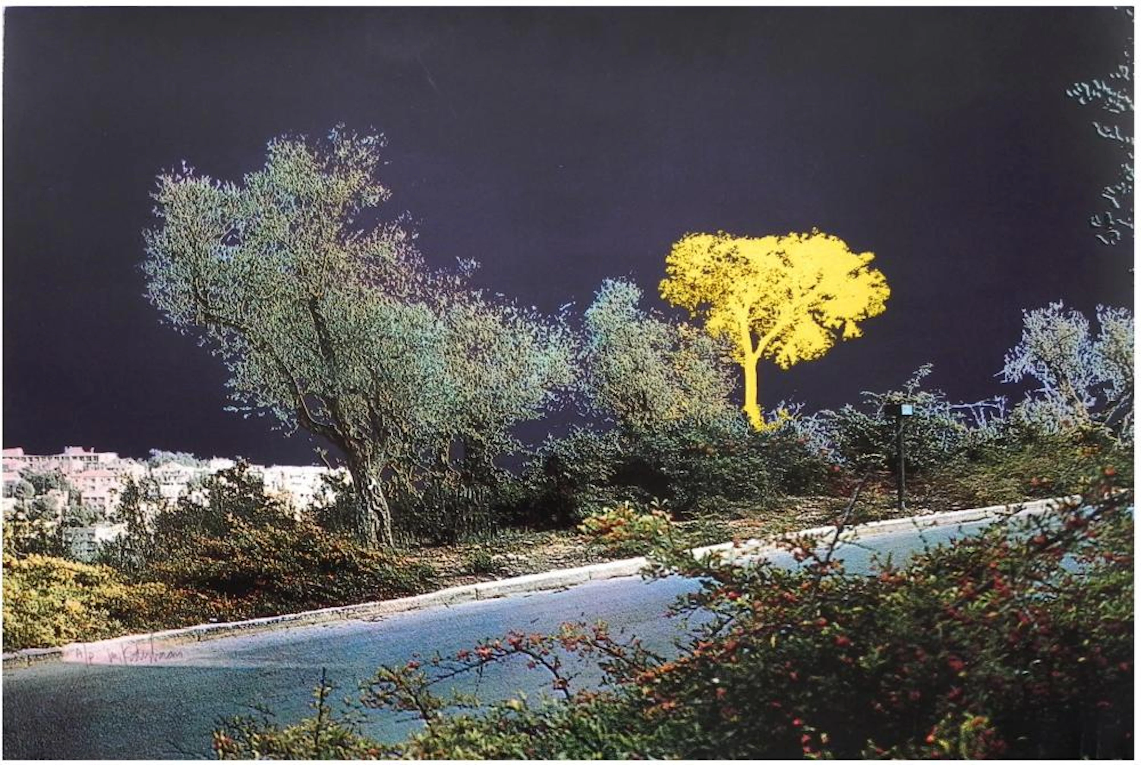 Menashe Kadishman (Israeli, 1932-2015)