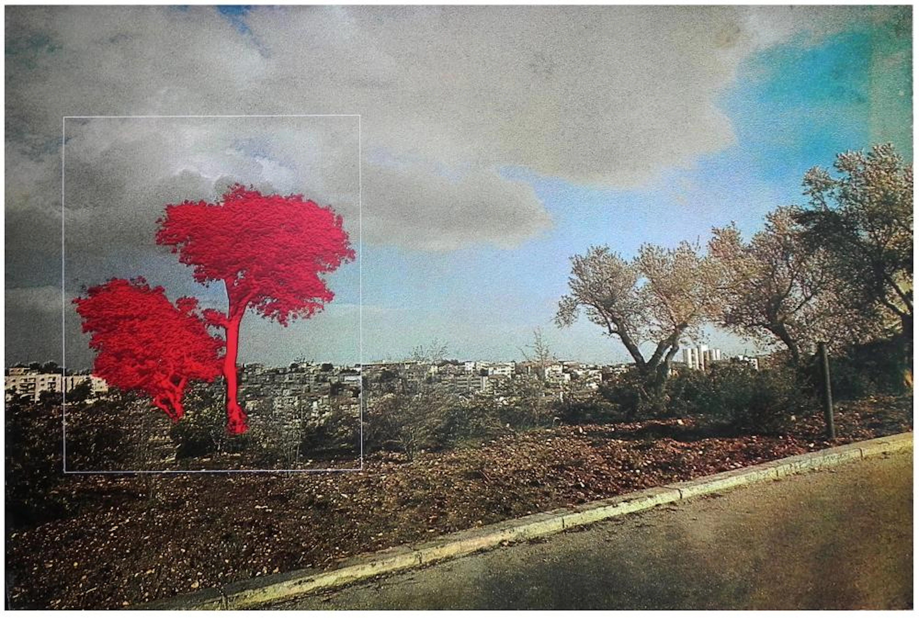 Menashe Kadishman (Israeli, 1932-2015)