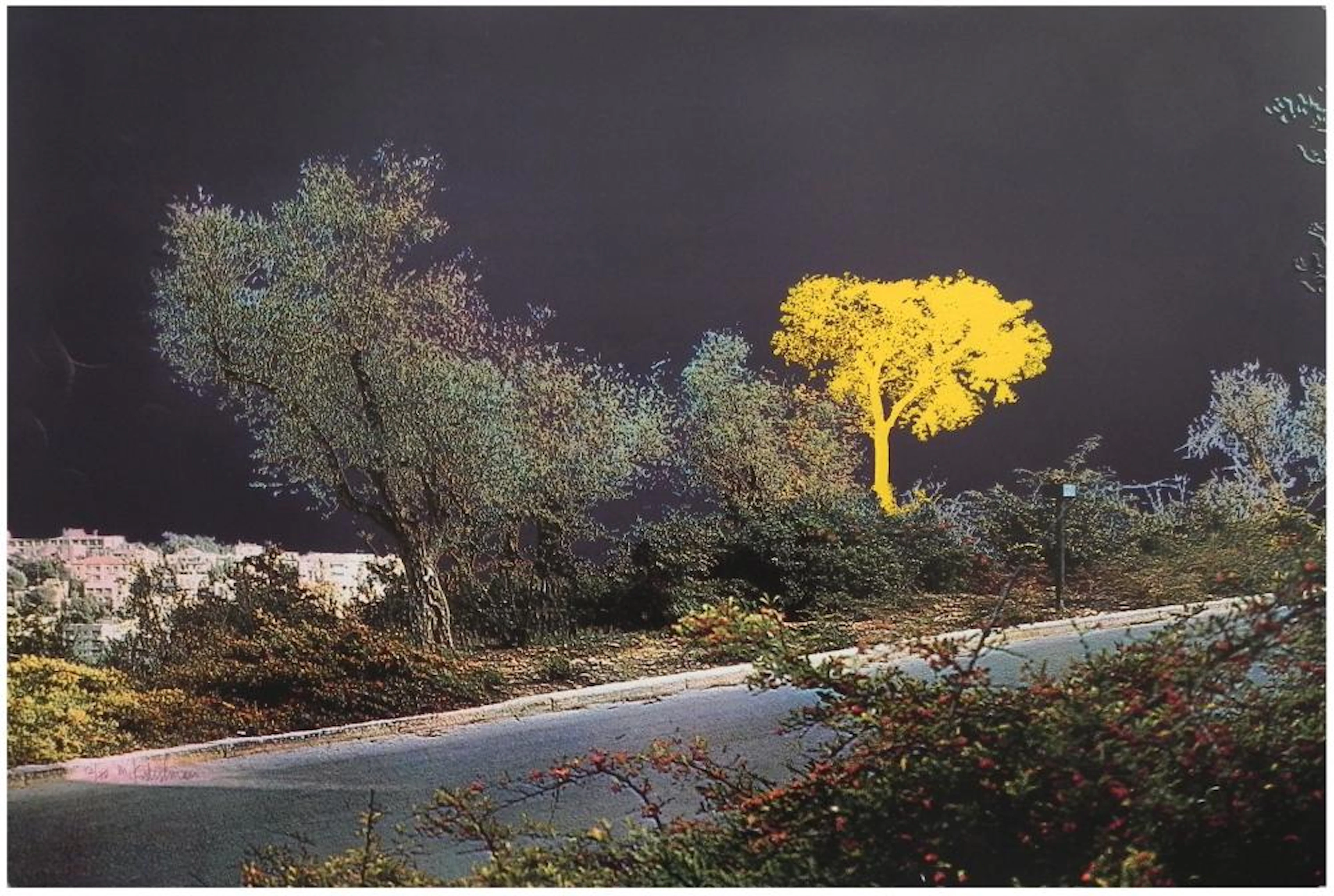 Menashe Kadishman (Israeli, 1932-2015)