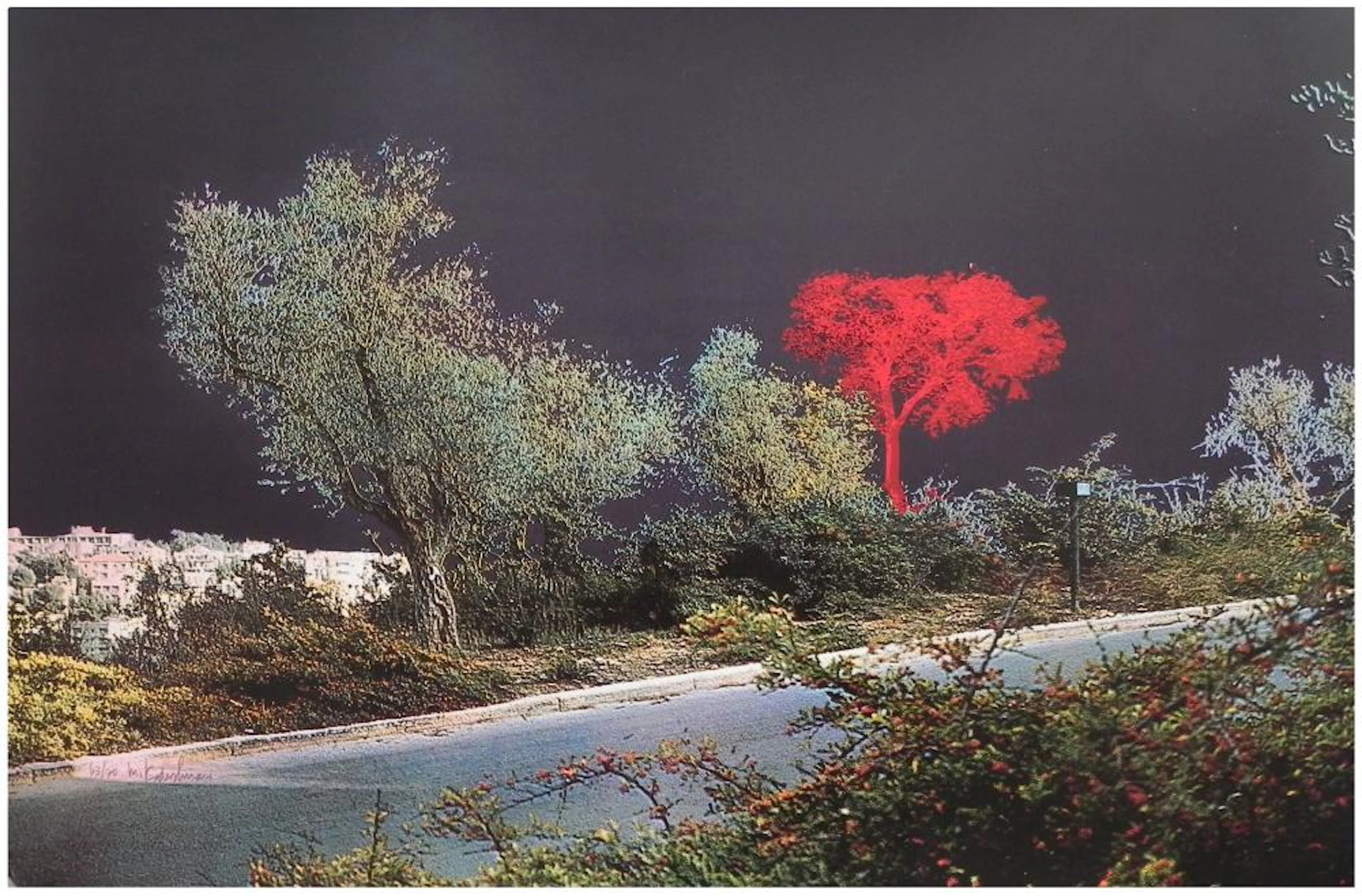 Menashe Kadishman (Israeli, 1932-2015)