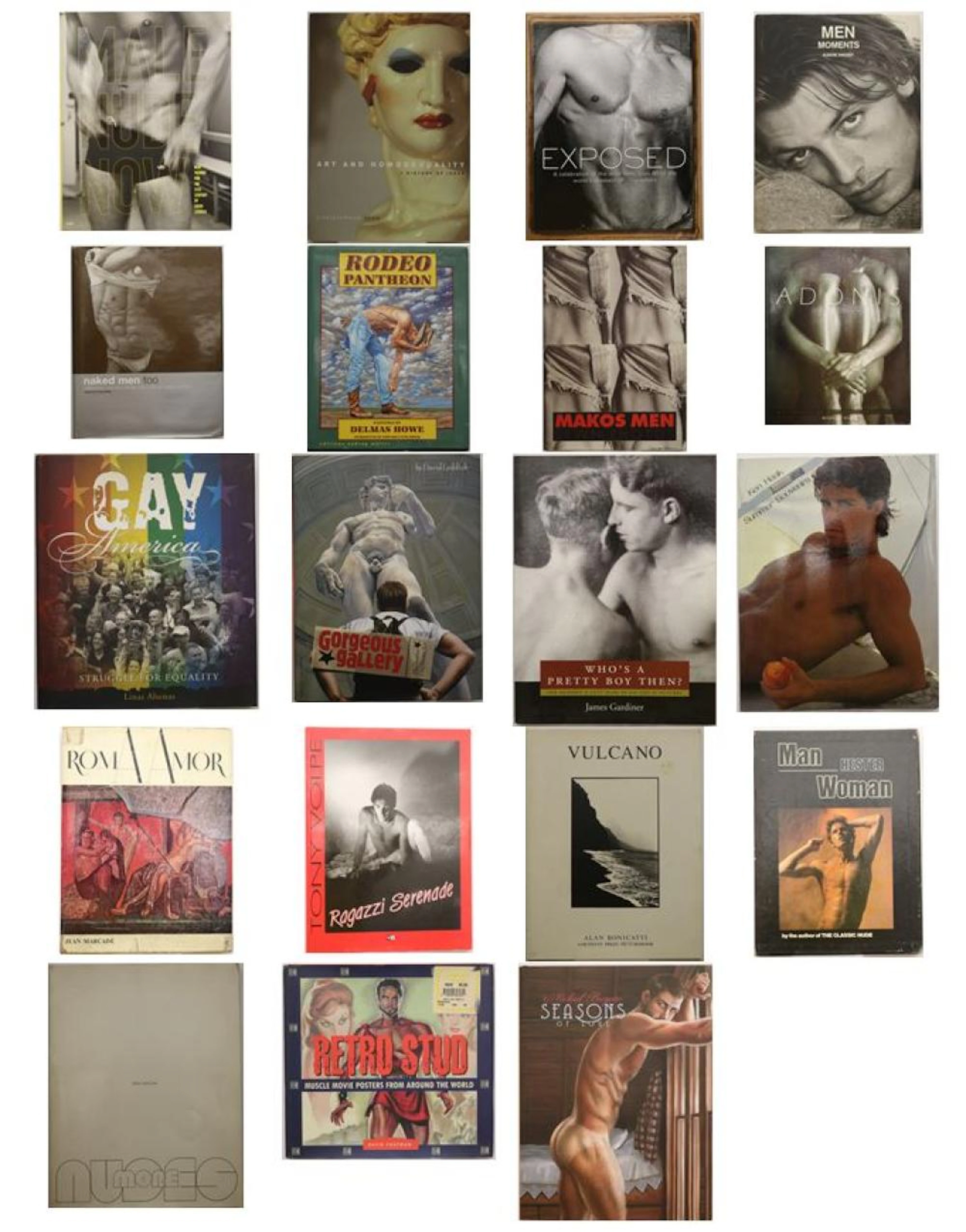 SELECTION OF 19 BOOKS (LGBTQ+ INTEREST).